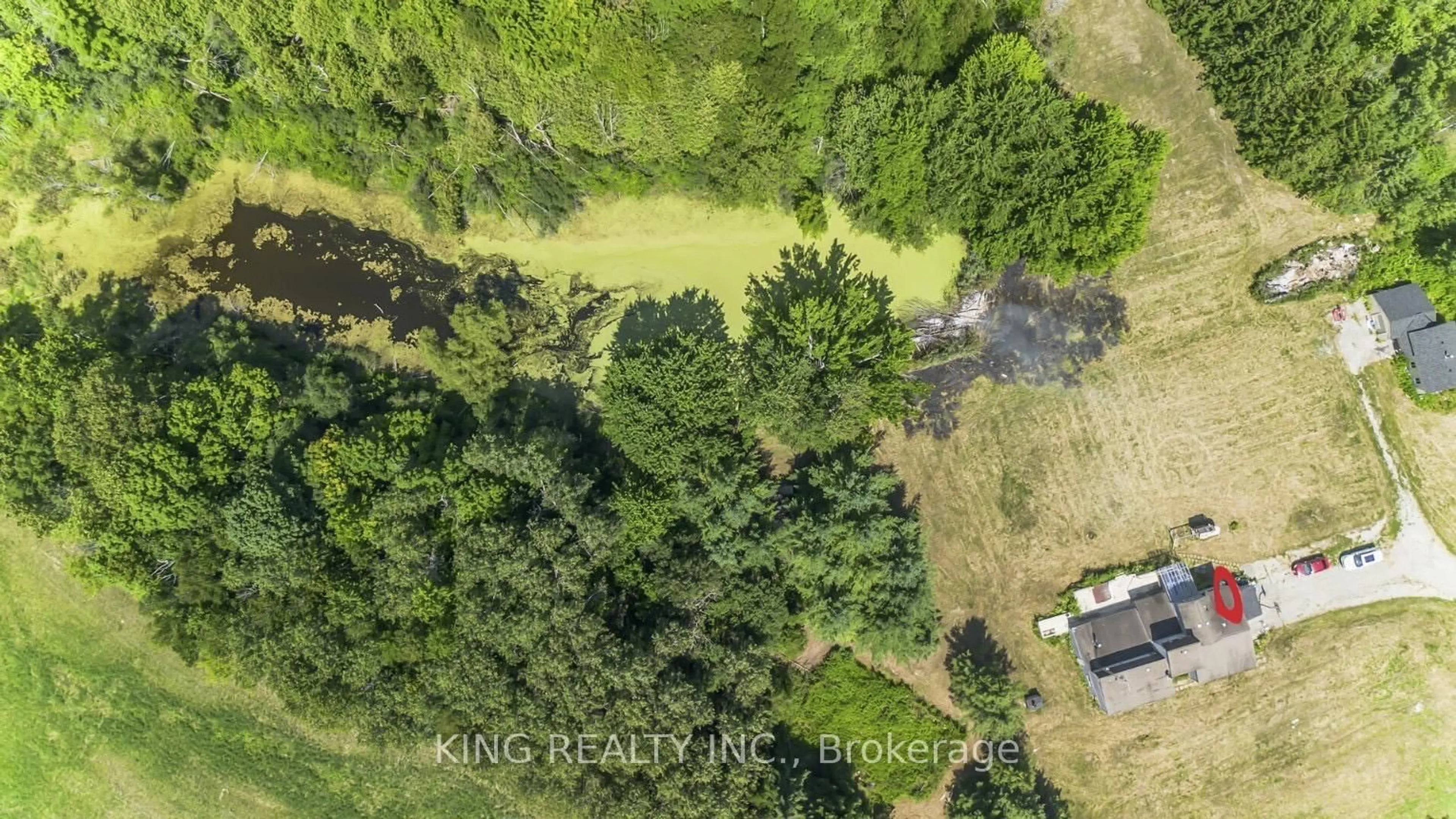 A pic from outside/outdoor area/front of a property/back of a property/a pic from drone, forest/trees view for 7768 Castlederg, Caledon Ontario L7E 5S1