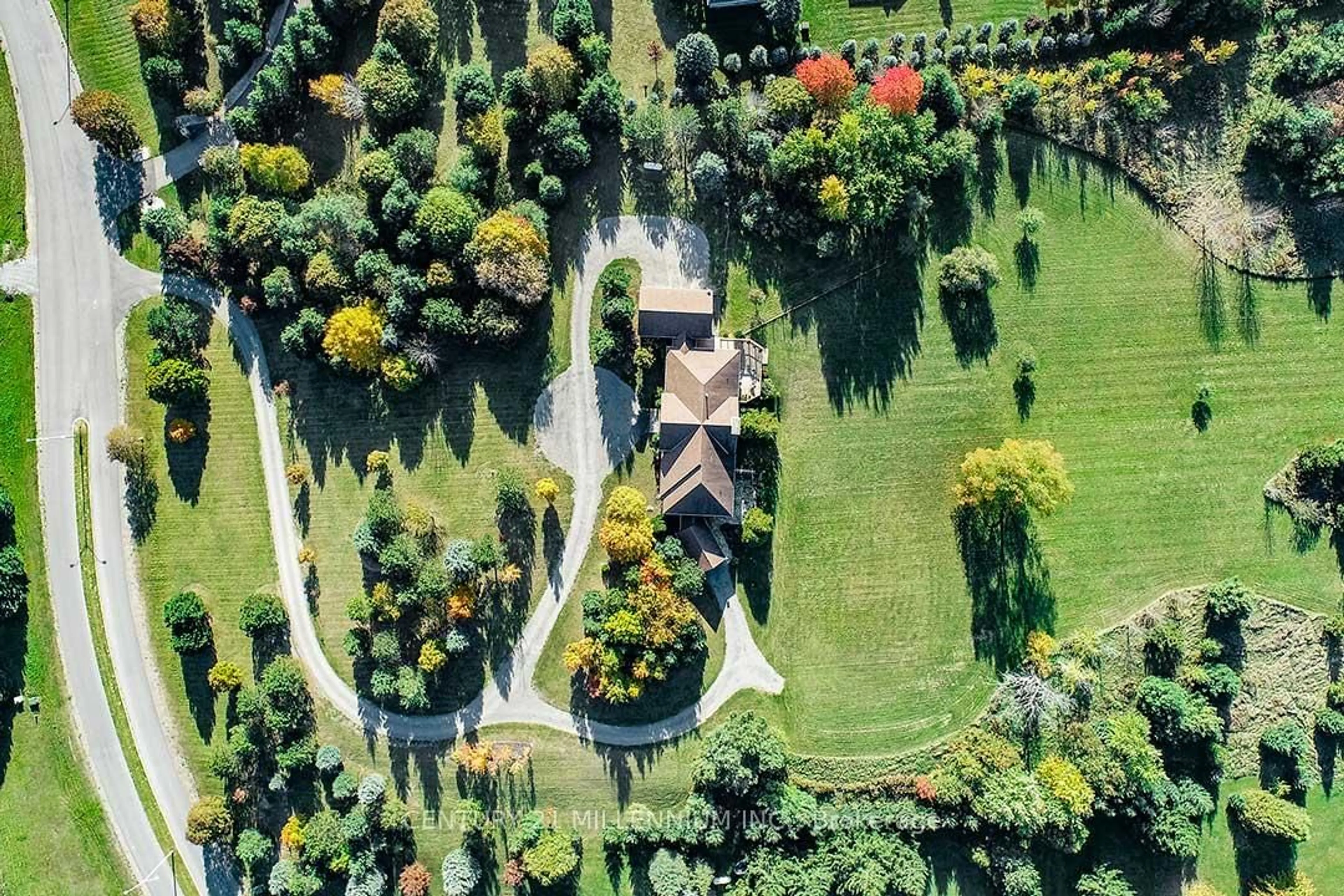 A pic from outside/outdoor area/front of a property/back of a property/a pic from drone, forest/trees view for 4 Flaherty Lane, Caledon Ontario L7K 2P3
