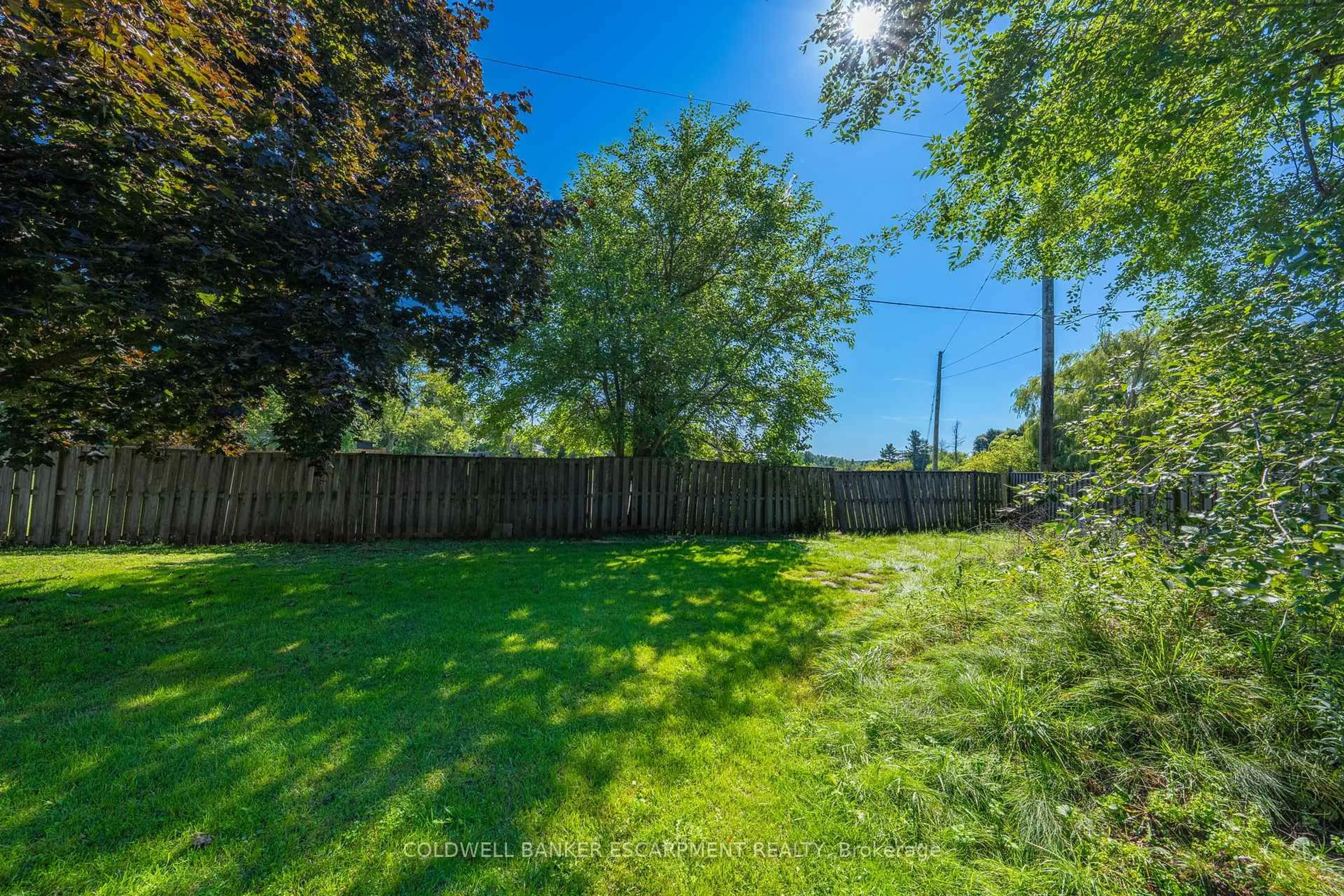 A pic from outside/outdoor area/front of a property/back of a property/a pic from drone, forest/trees view for 54 Mowbray Pl, Halton Hills Ontario L7J 2J8
