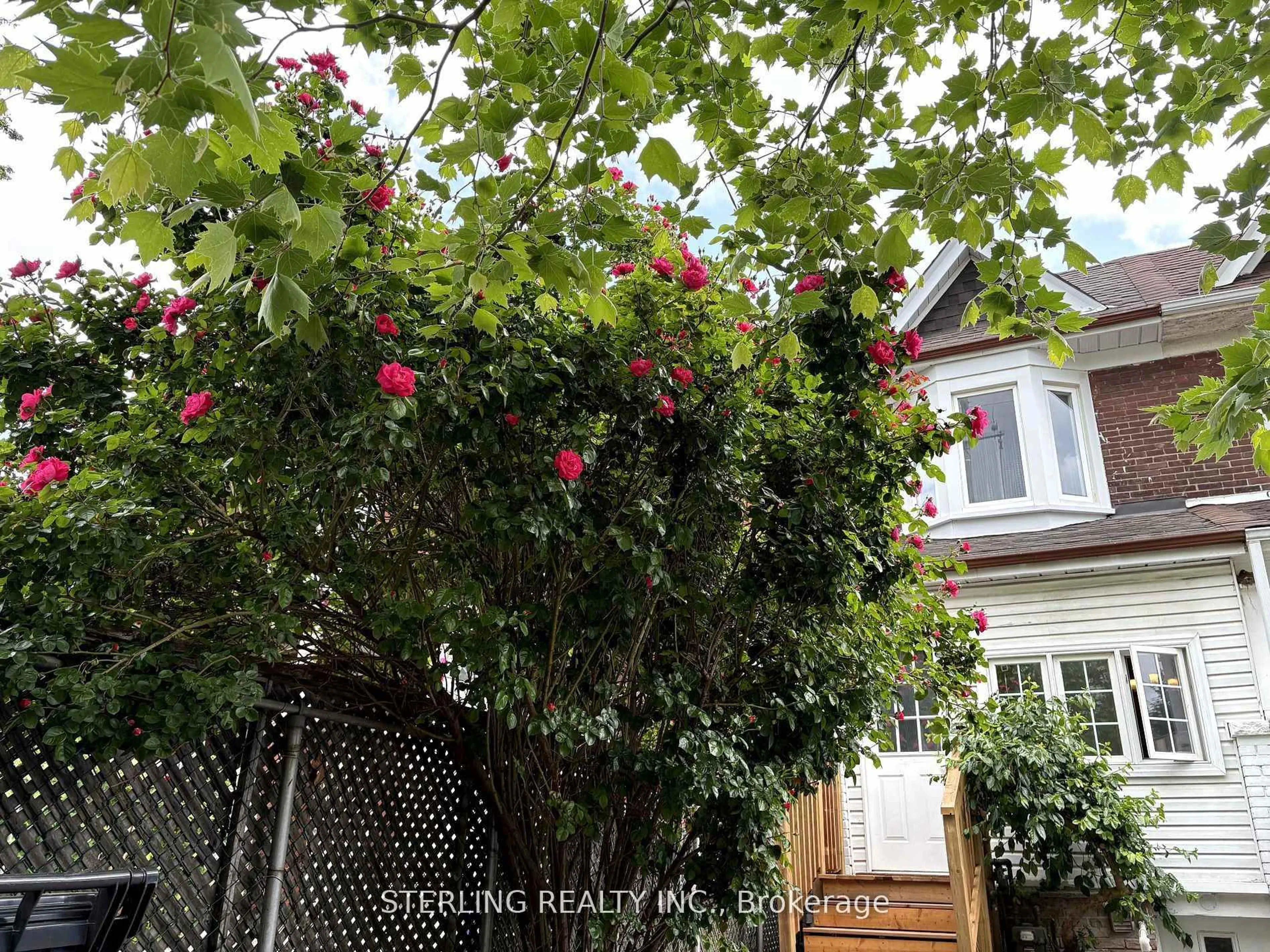 A pic from outside/outdoor area/front of a property/back of a property/a pic from drone, street for 13 Auburn Ave, Toronto Ontario M6H 2L6