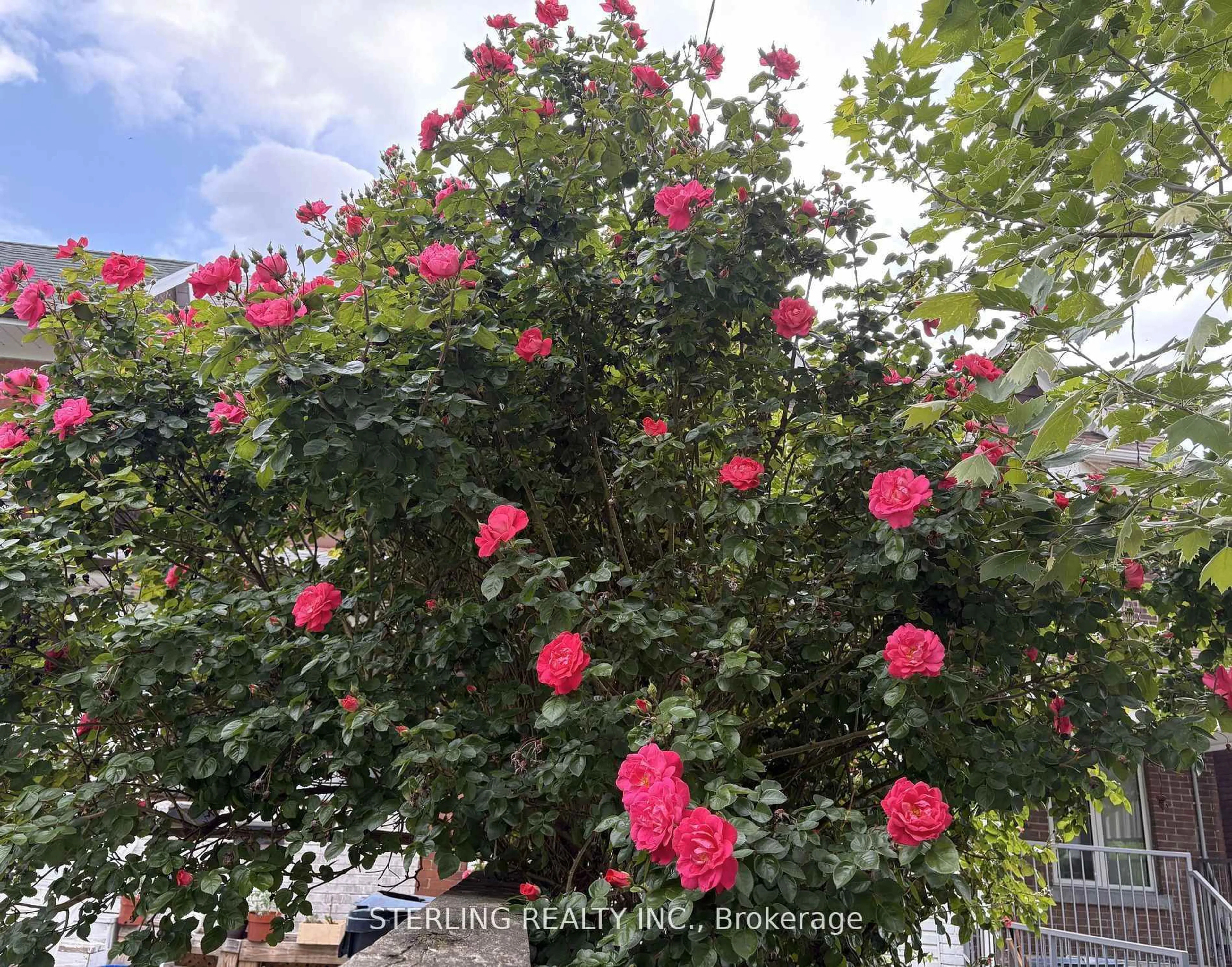 Unknown for 13 Auburn Ave, Toronto Ontario M6H 2L6