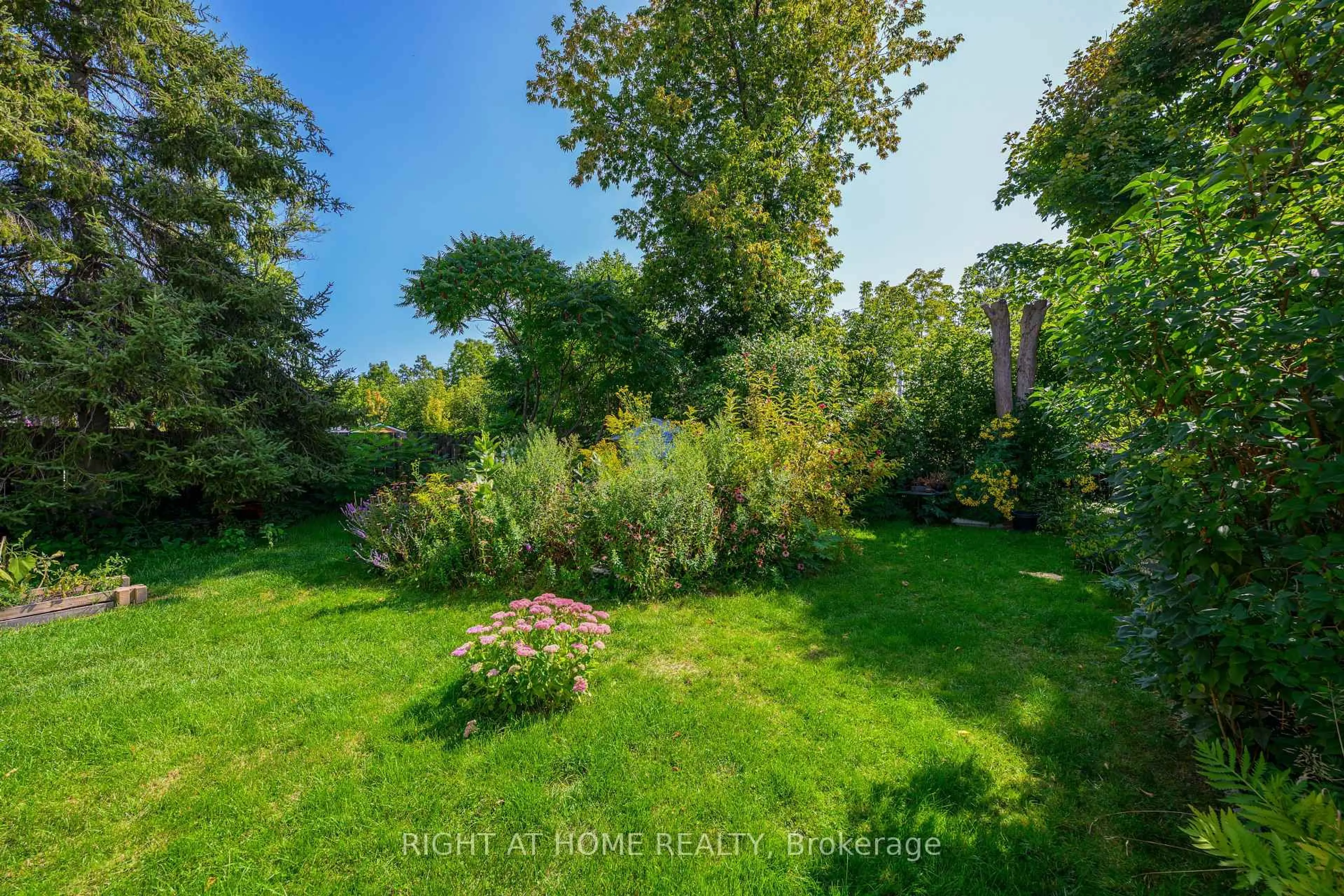 A pic from outside/outdoor area/front of a property/back of a property/a pic from drone, forest/trees view for 212 Troy St, Mississauga Ontario L5G 1S7