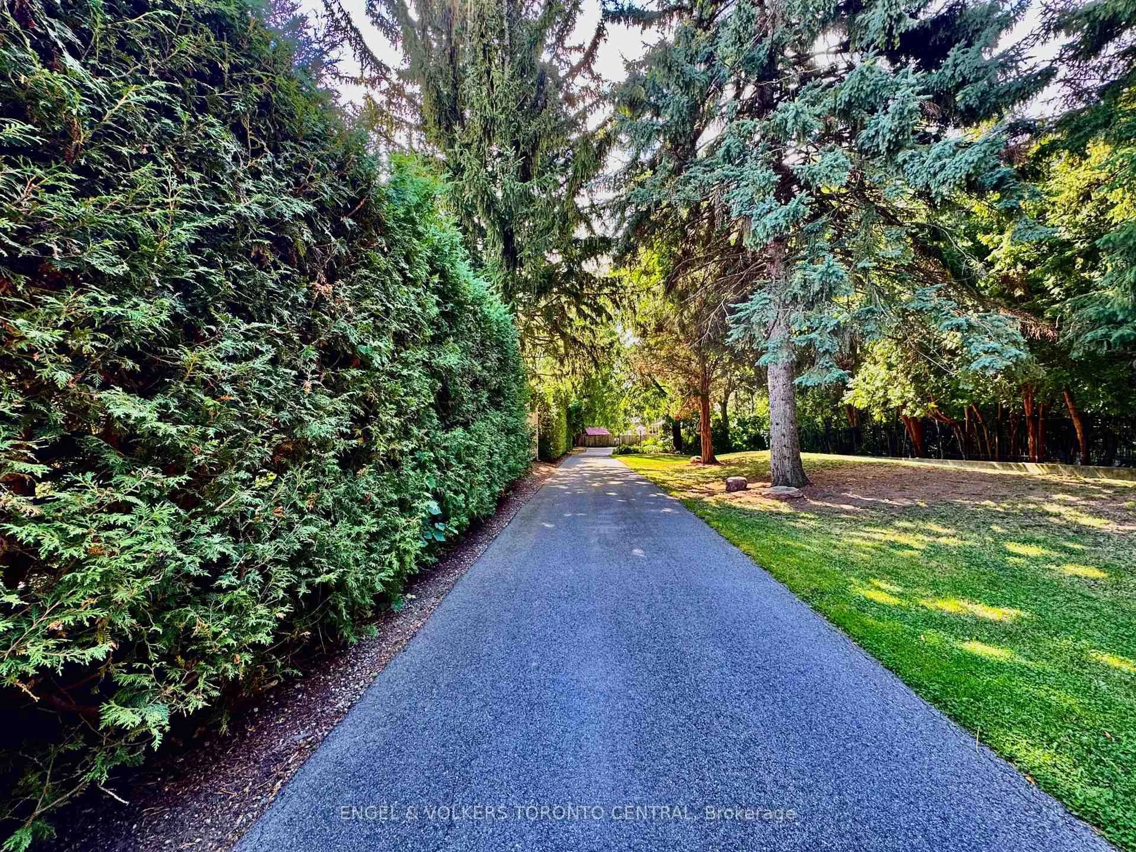 A pic from outside/outdoor area/front of a property/back of a property/a pic from drone, forest/trees view for 85 Yorkleigh Ave, Toronto Ontario M9P 1Y3