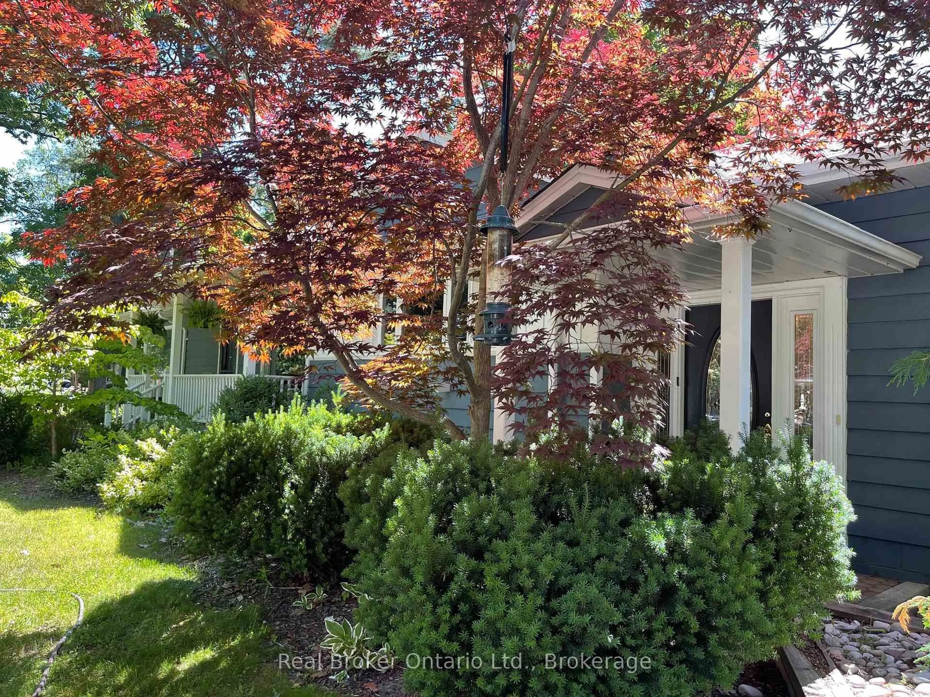 A pic from outside/outdoor area/front of a property/back of a property/a pic from drone, street for 374 Spruce St, Oakville Ontario L6J 2H3