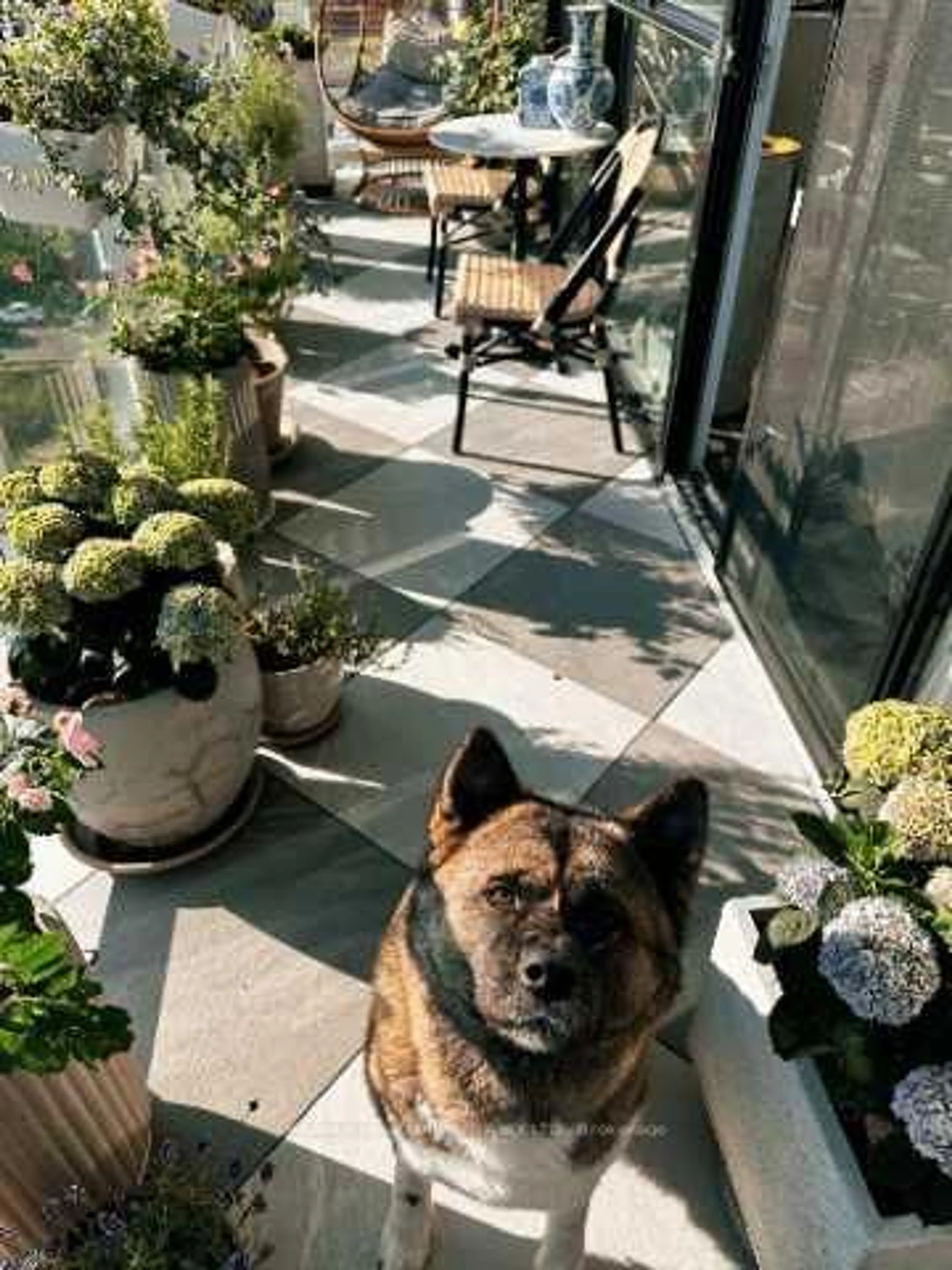 Patio, street for 251 Manitoba St #1016, Toronto Ontario M8Y 4G9