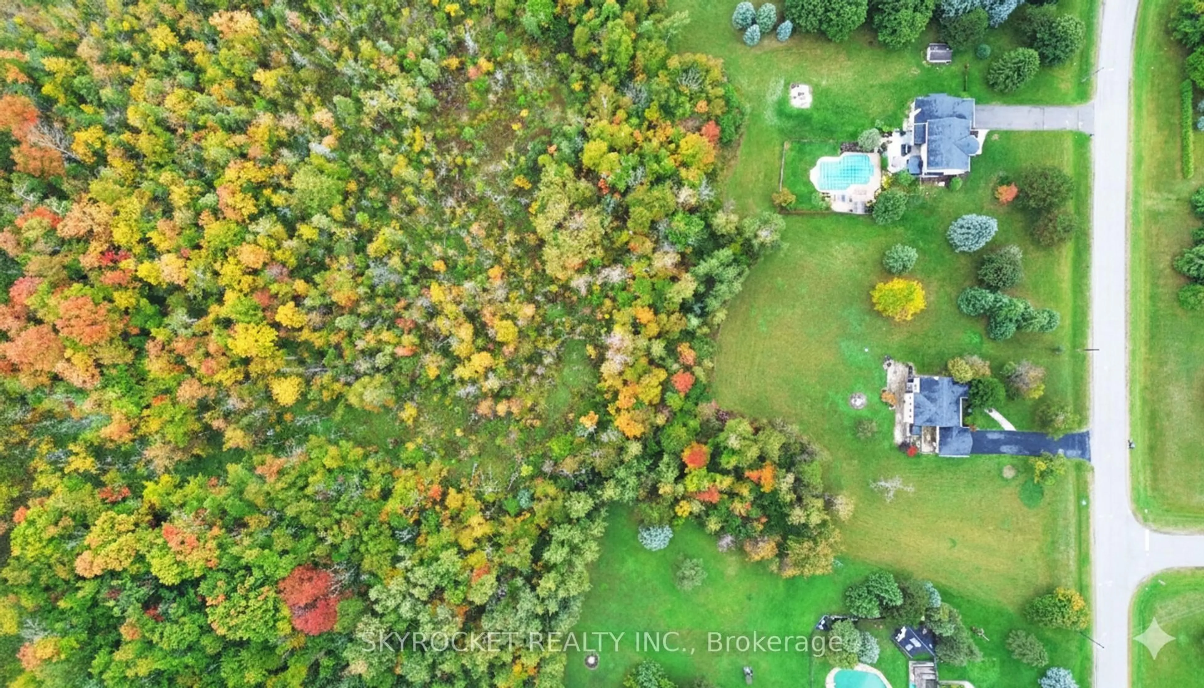 A pic from outside/outdoor area/front of a property/back of a property/a pic from drone, forest/trees view for 41 Elite Rd, Caledon Ontario L7K 0L2