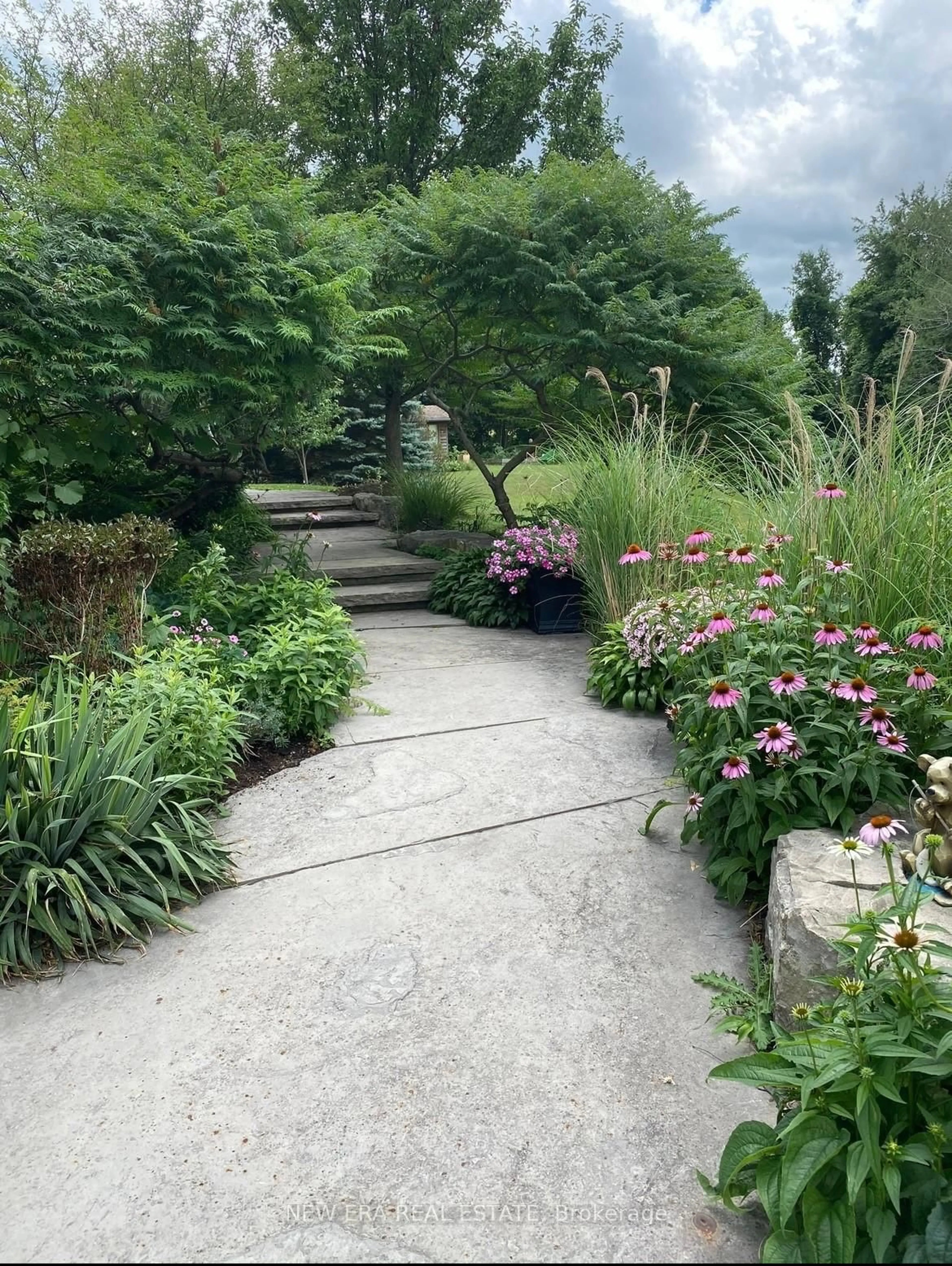 Patio, street for 14227 Trafalgar Rd, Halton Hills Ontario L7G 4S4