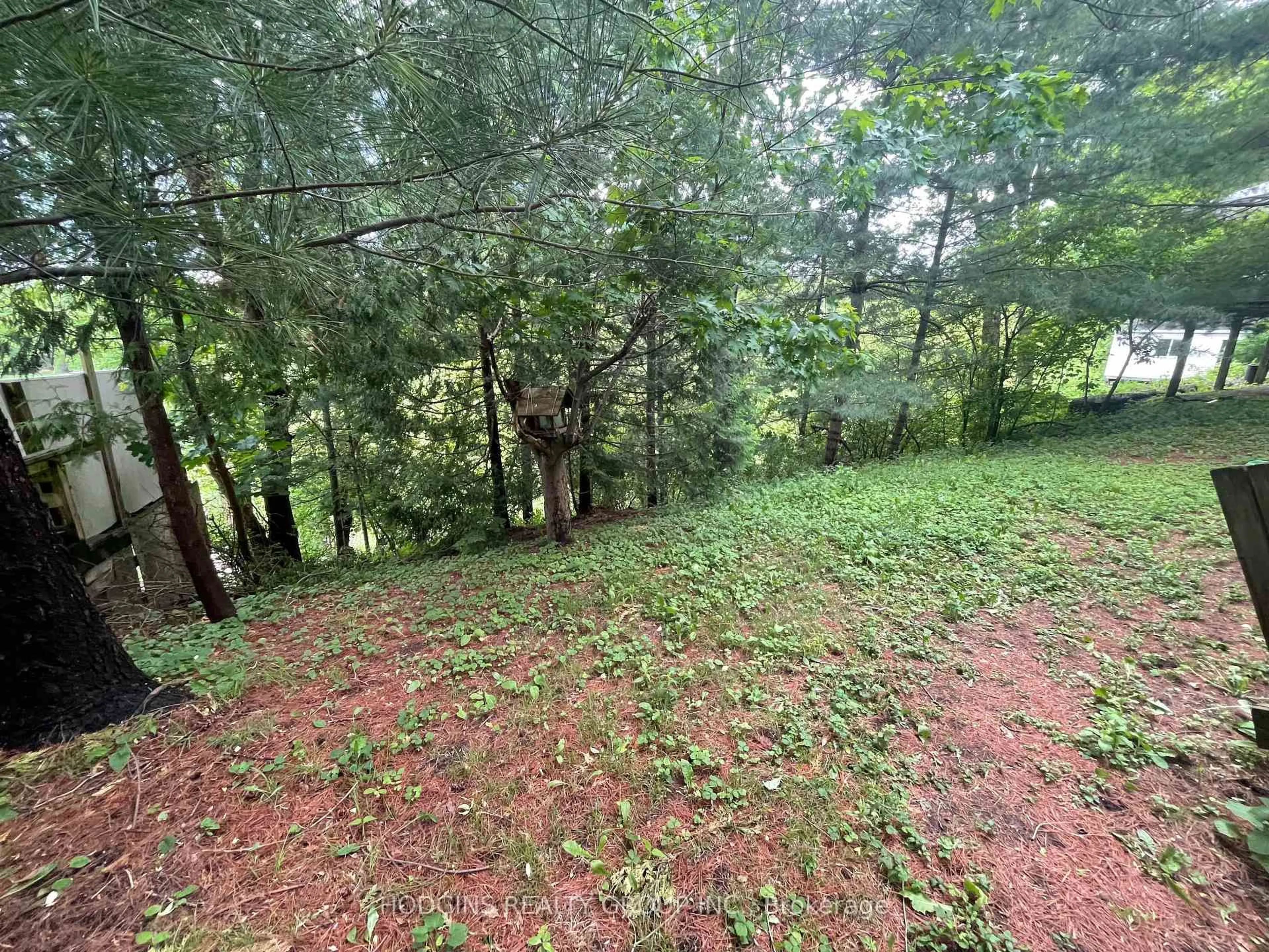 A pic from outside/outdoor area/front of a property/back of a property/a pic from drone, forest/trees view for 63 River Rd, Brampton Ontario L6X 0A8