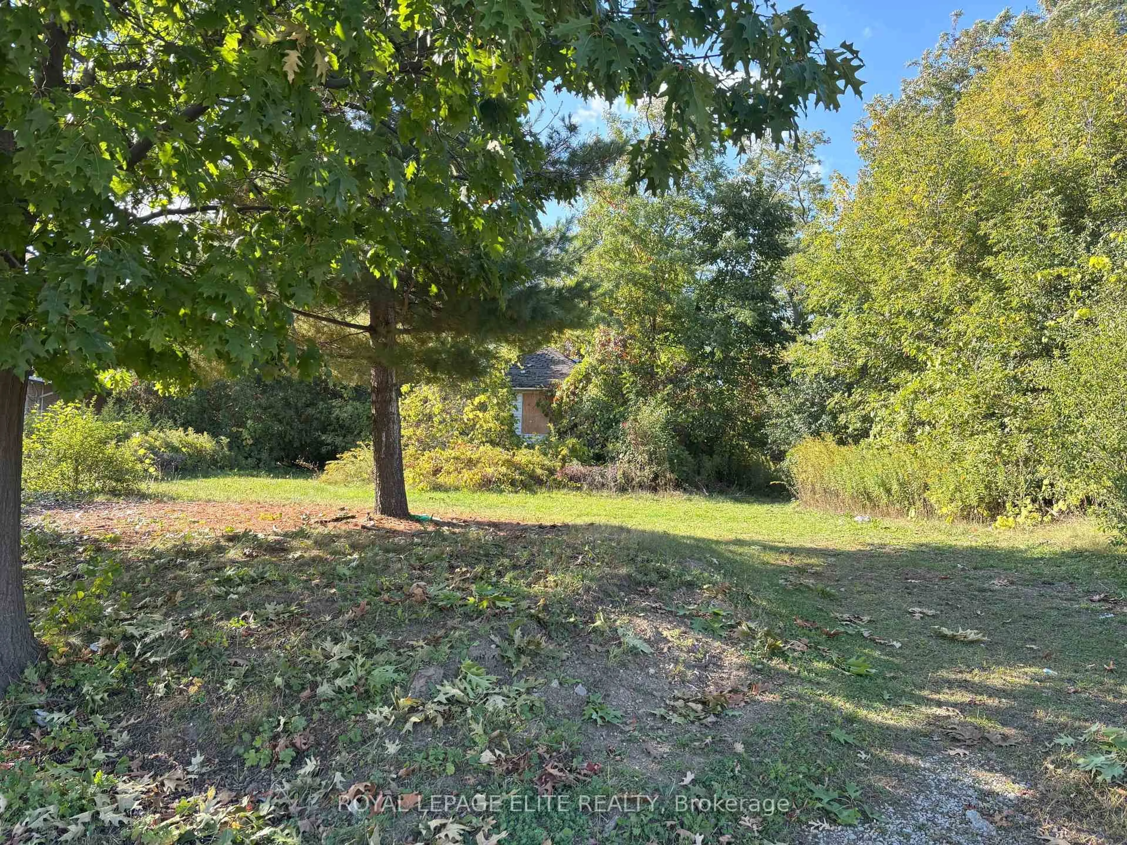 A pic from outside/outdoor area/front of a property/back of a property/a pic from drone, forest/trees view for 1631 Eglinton Ave, Mississauga Ontario L5M 7C1