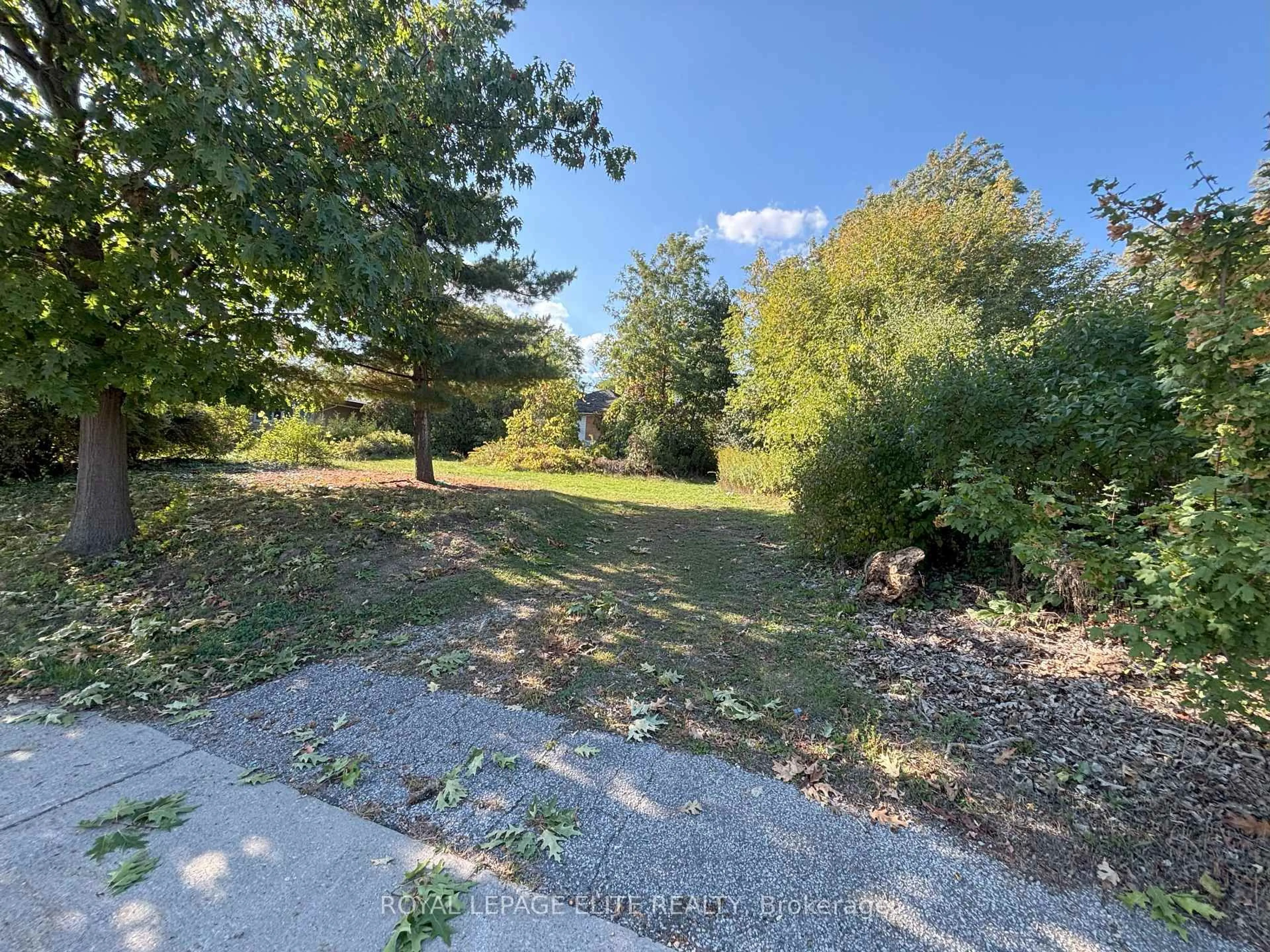 A pic from outside/outdoor area/front of a property/back of a property/a pic from drone, forest/trees view for 1631 Eglinton Ave, Mississauga Ontario L5M 7C1