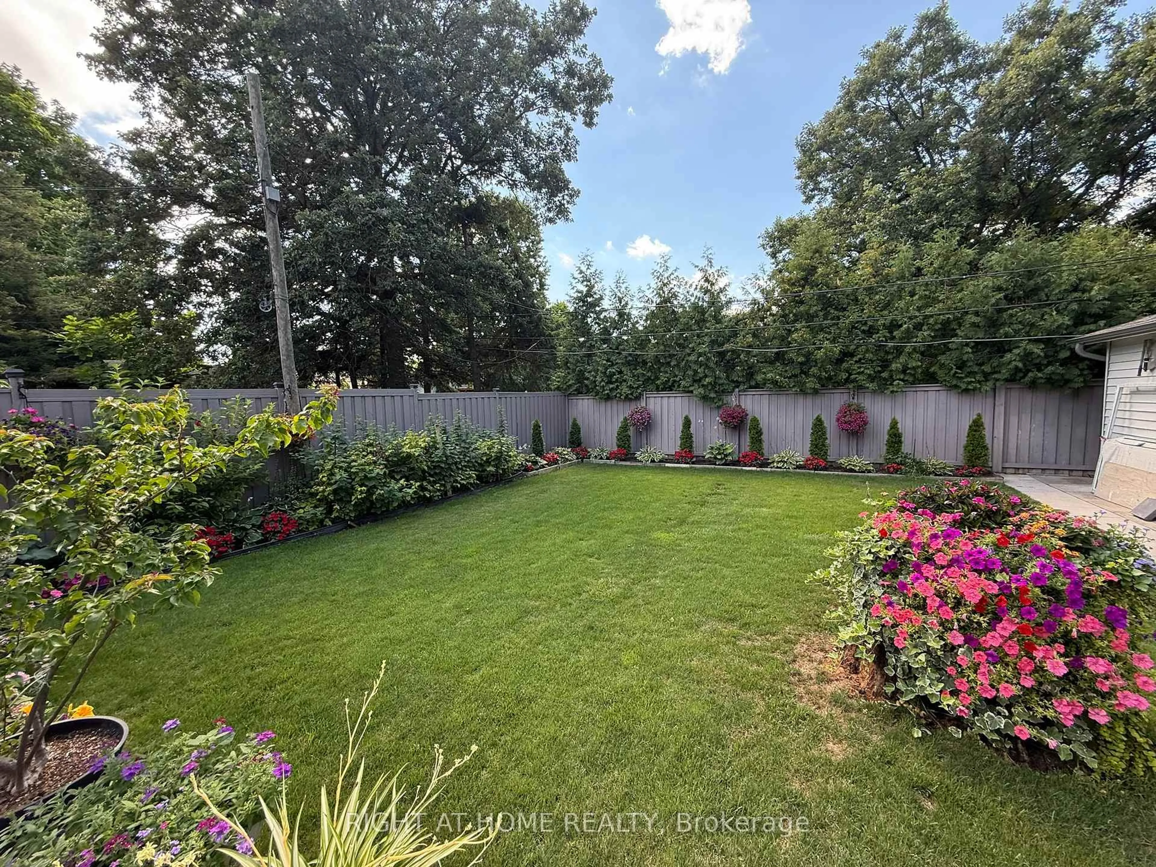 A pic from outside/outdoor area/front of a property/back of a property/a pic from drone, forest/trees view for 6 Burnelm Dr, Toronto Ontario M9B 4N3