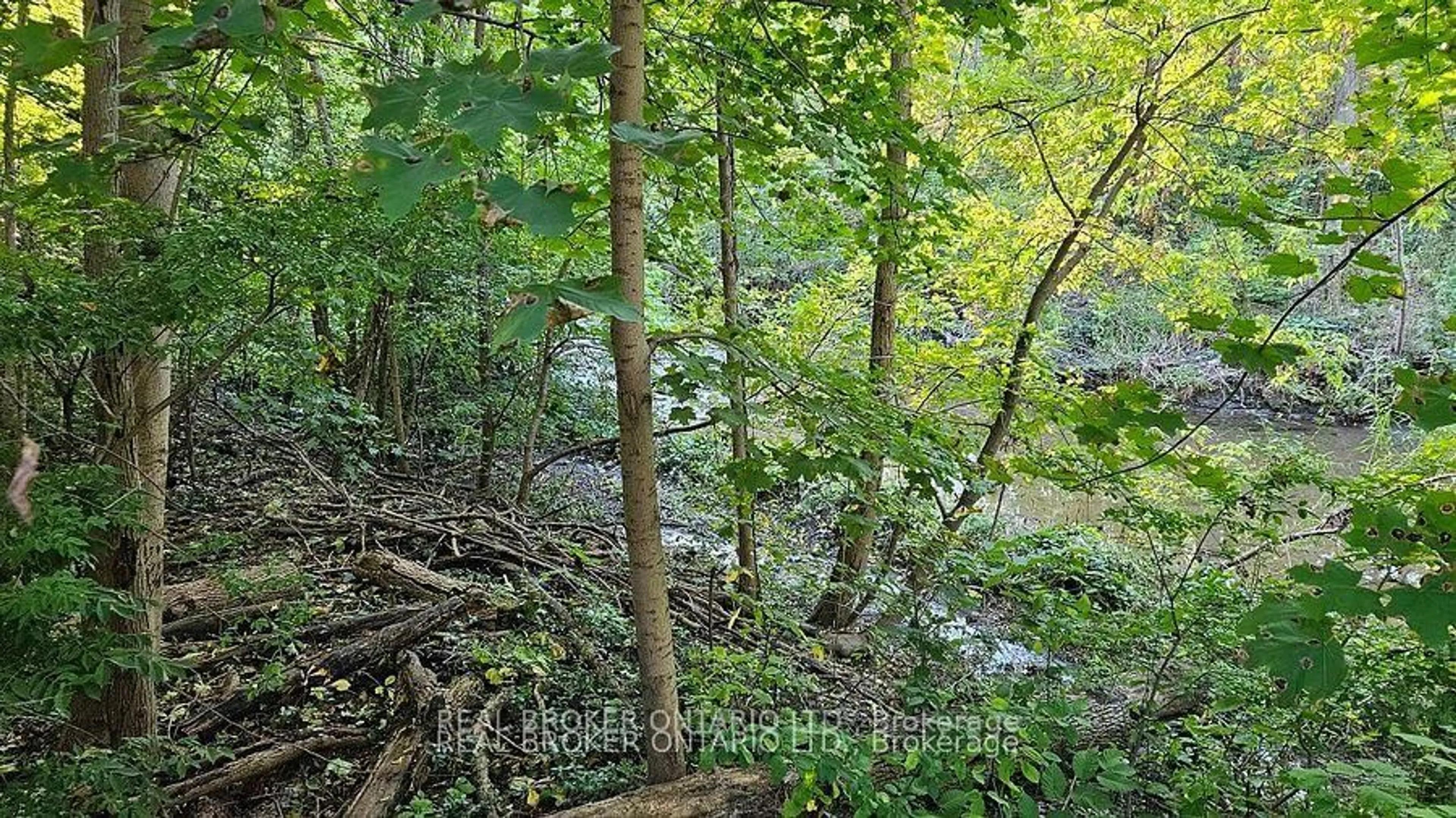 Blurry image for 841 Fletcher Valley Cres, Mississauga Ontario L5J 2X6