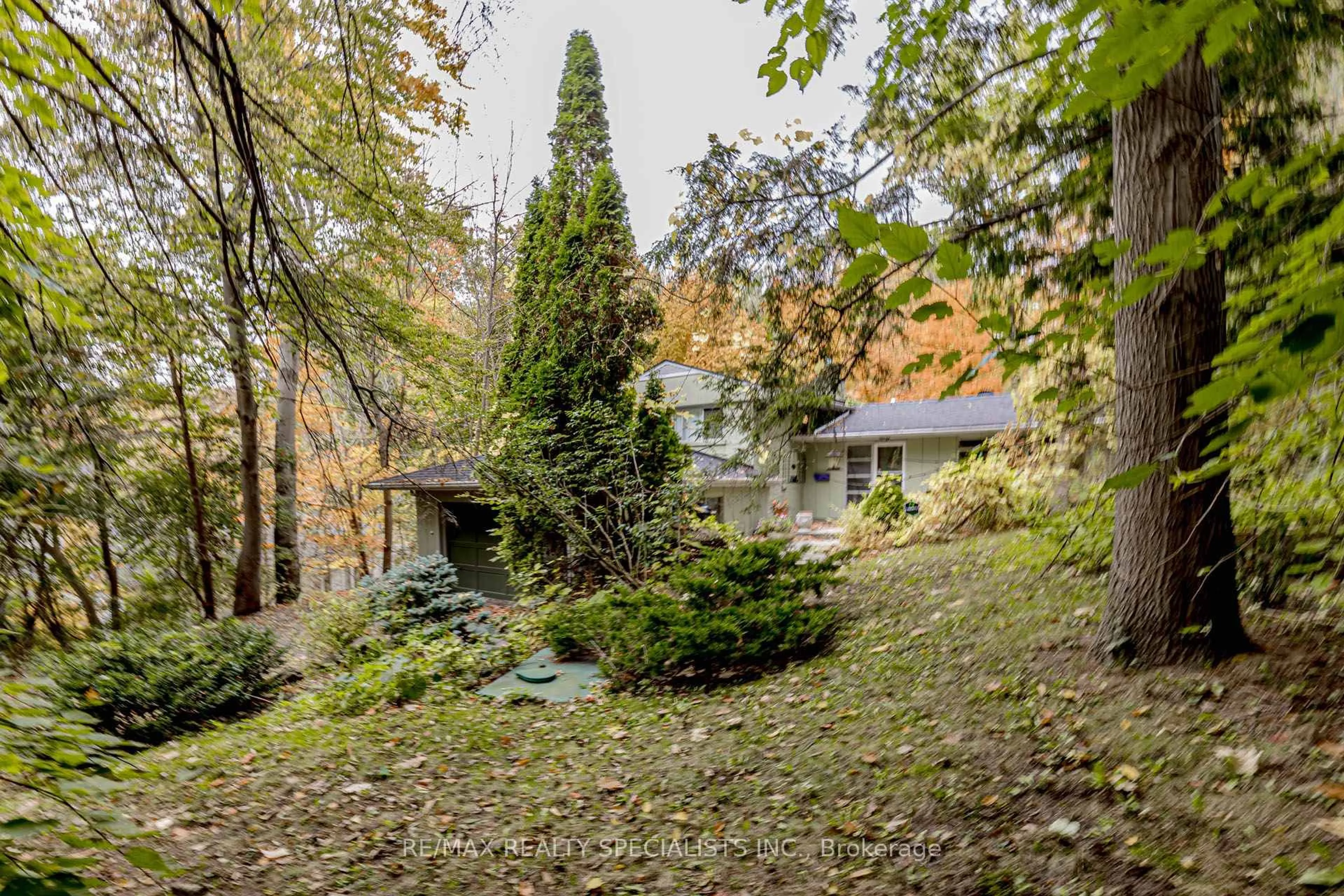 A pic from outside/outdoor area/front of a property/back of a property/a pic from drone, forest/trees view for 757 Meadow Wood Rd, Mississauga Ontario L5J 2S7