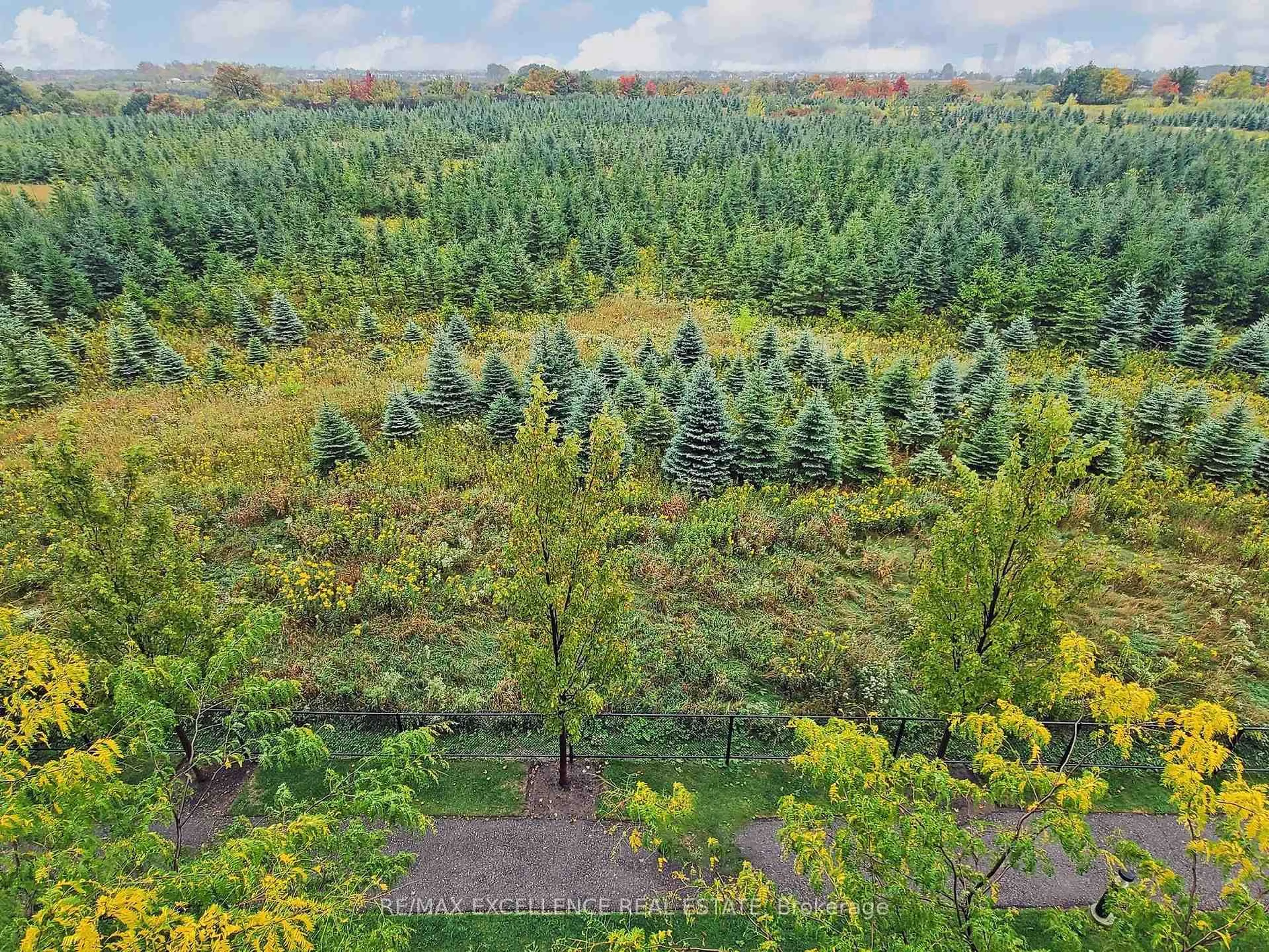 A pic from outside/outdoor area/front of a property/back of a property/a pic from drone, forest/trees view for 65 Yorkland Blvd #309, Brampton Ontario L6P 4M5