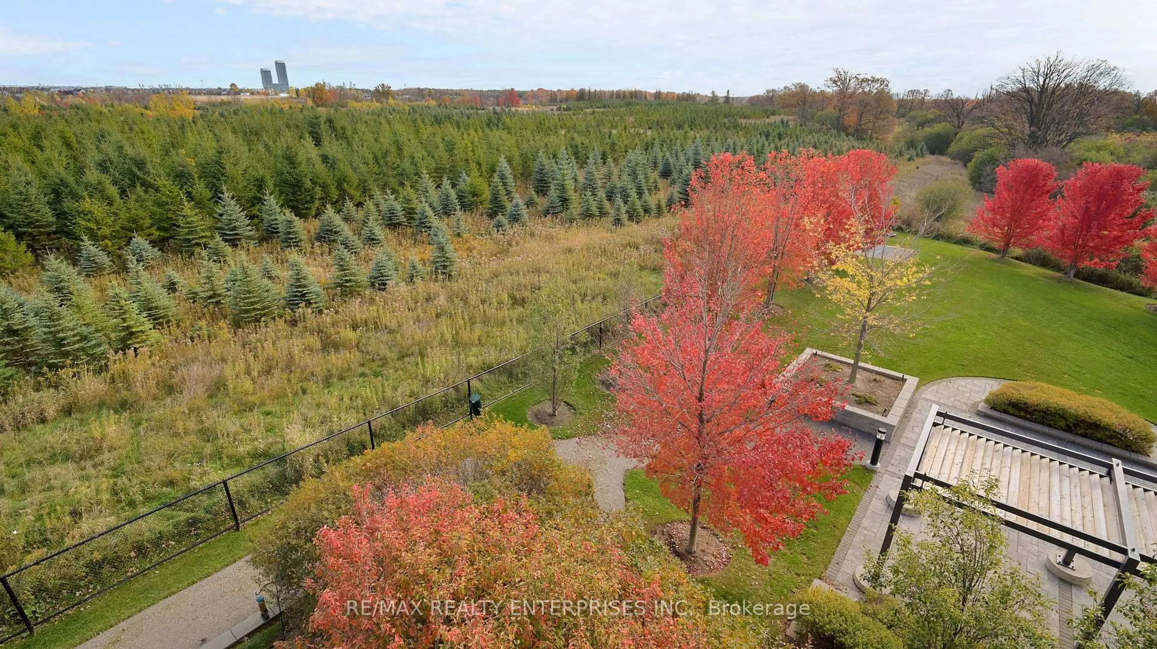 A pic from outside/outdoor area/front of a property/back of a property/a pic from drone, forest/trees view for 65 Yorkland Blvd #210, Brampton Ontario L6P 4M5
