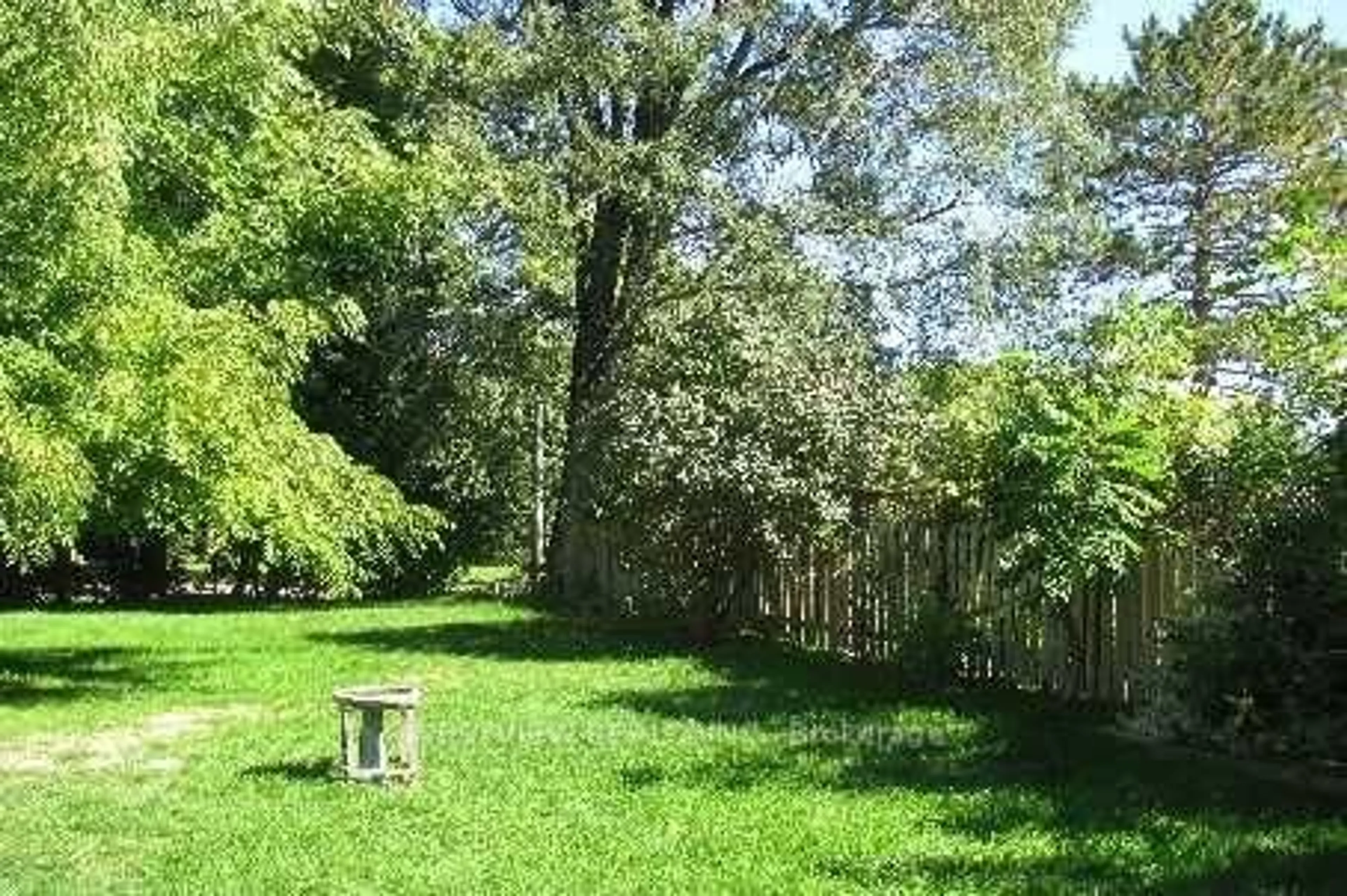 A pic from outside/outdoor area/front of a property/back of a property/a pic from drone, forest/trees view for 1331 Northaven Dr, Mississauga Ontario L5G 4E8