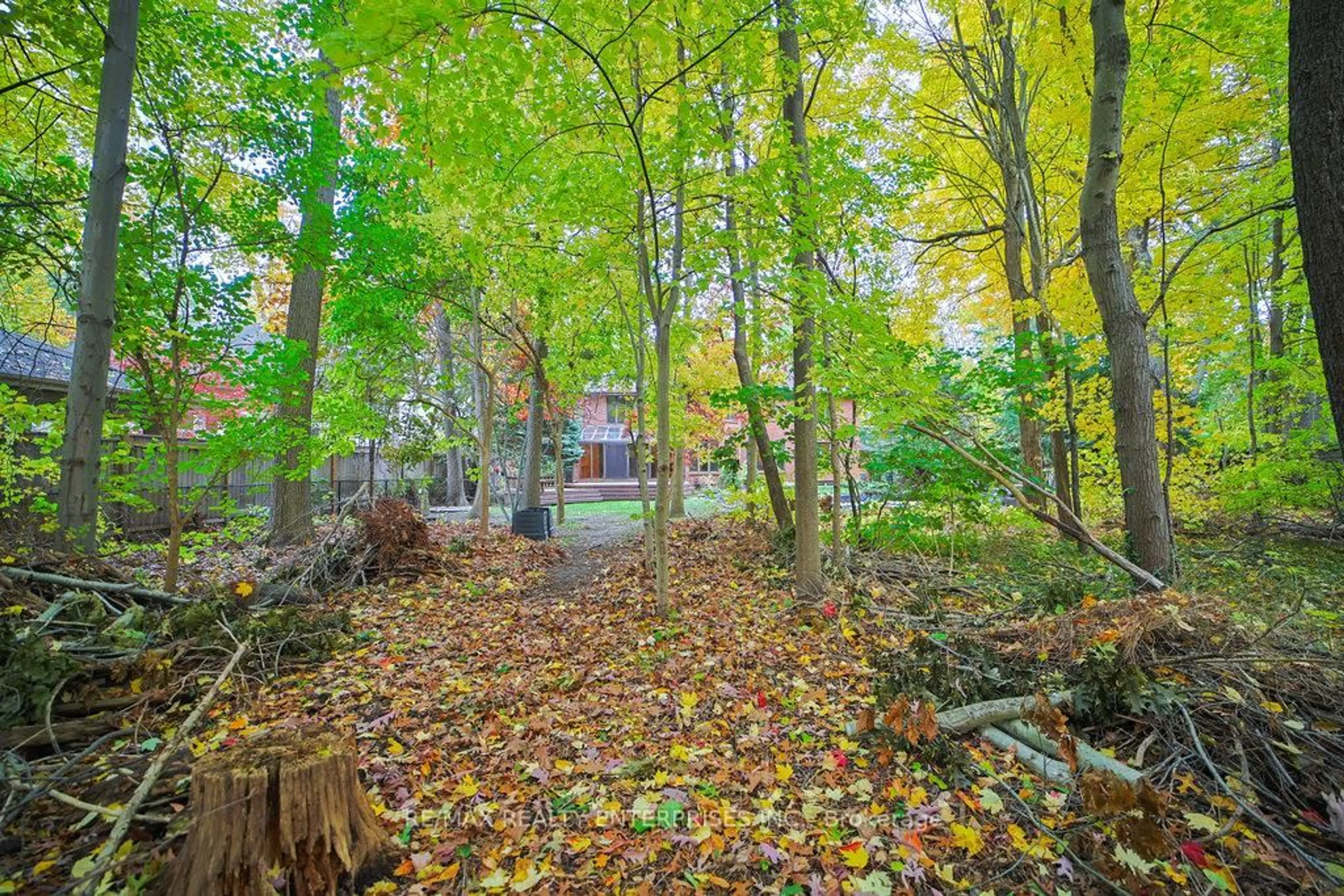 Patio, forest/trees view for 1601 Jalna Ave, Mississauga Ontario L5J 1S8