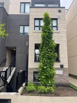 history photo preview