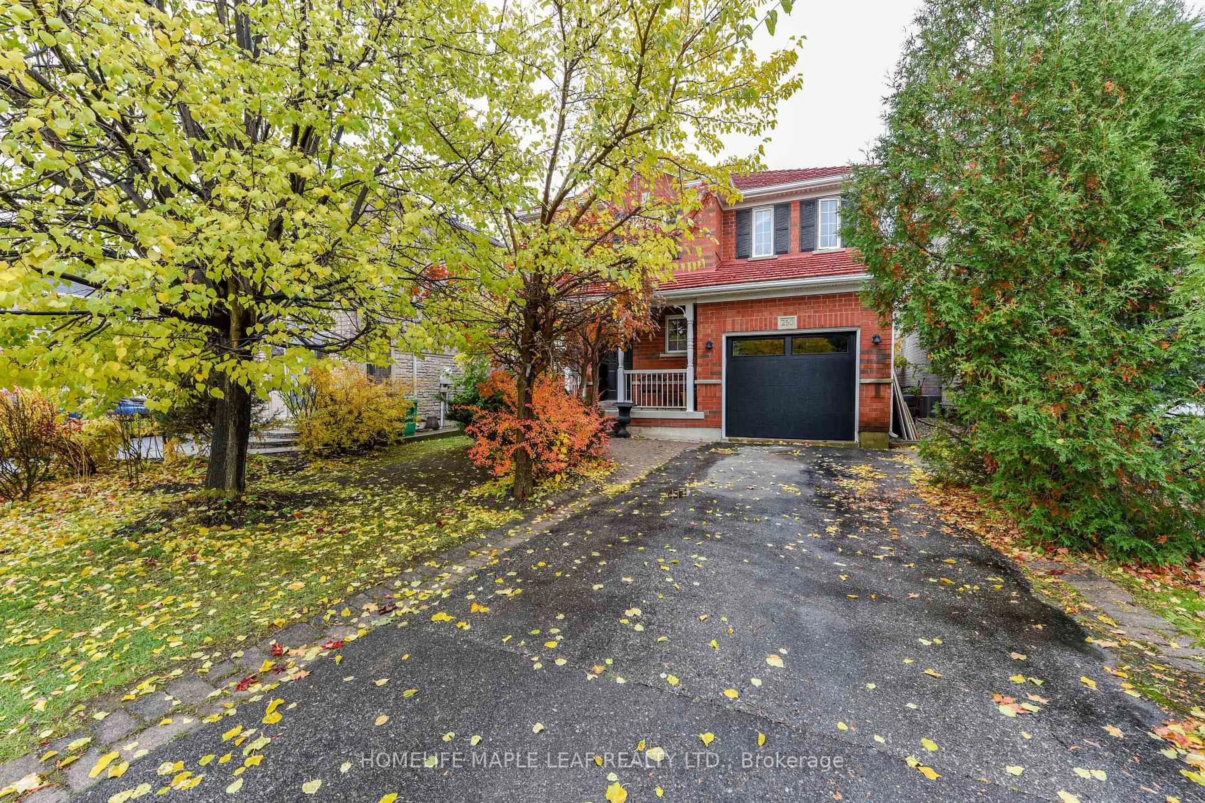 Home with brick exterior material, street for 250 Brisdale Dr, Brampton Ontario L7A 2T3