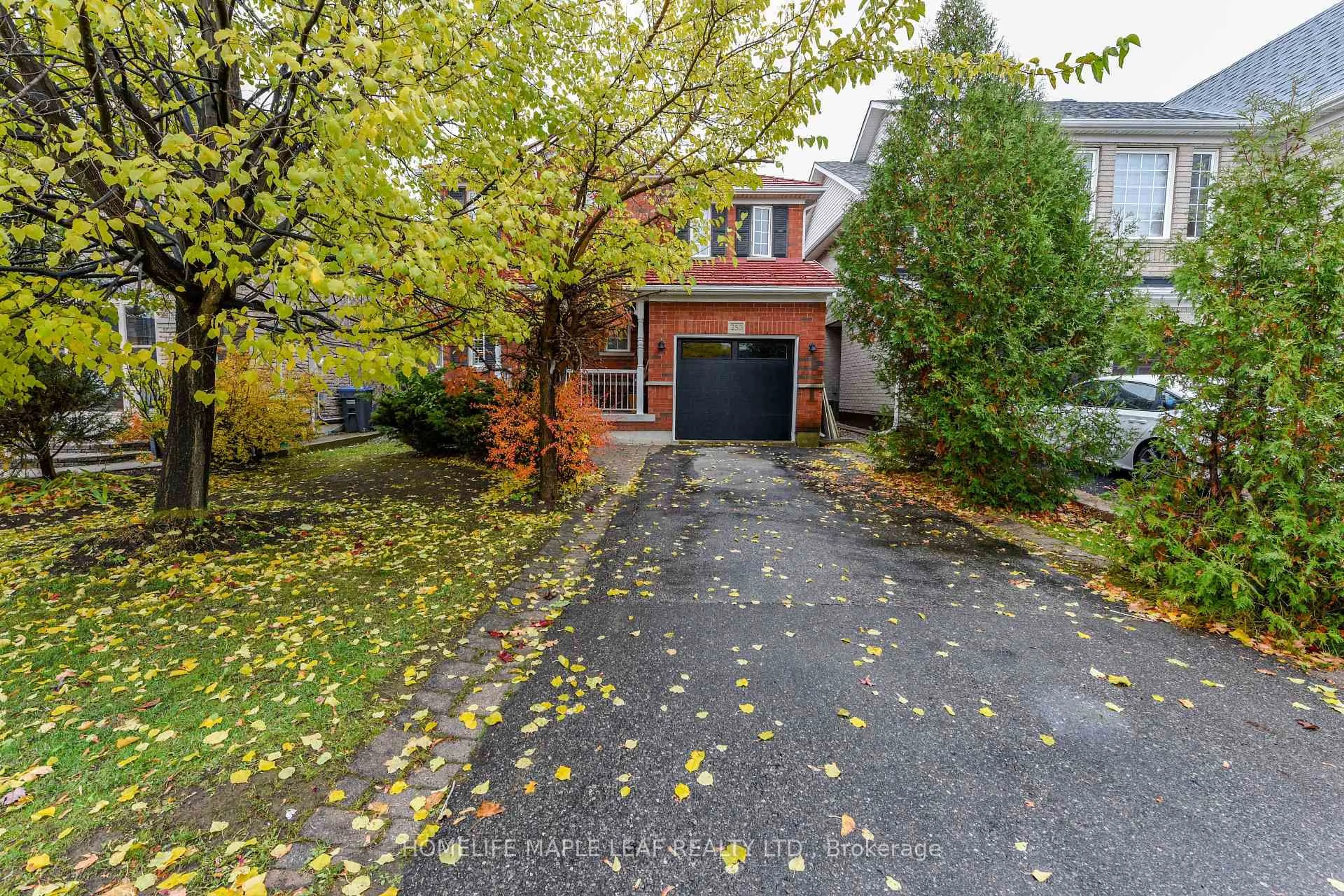 Unknown for 250 Brisdale Dr, Brampton Ontario L7A 2T3