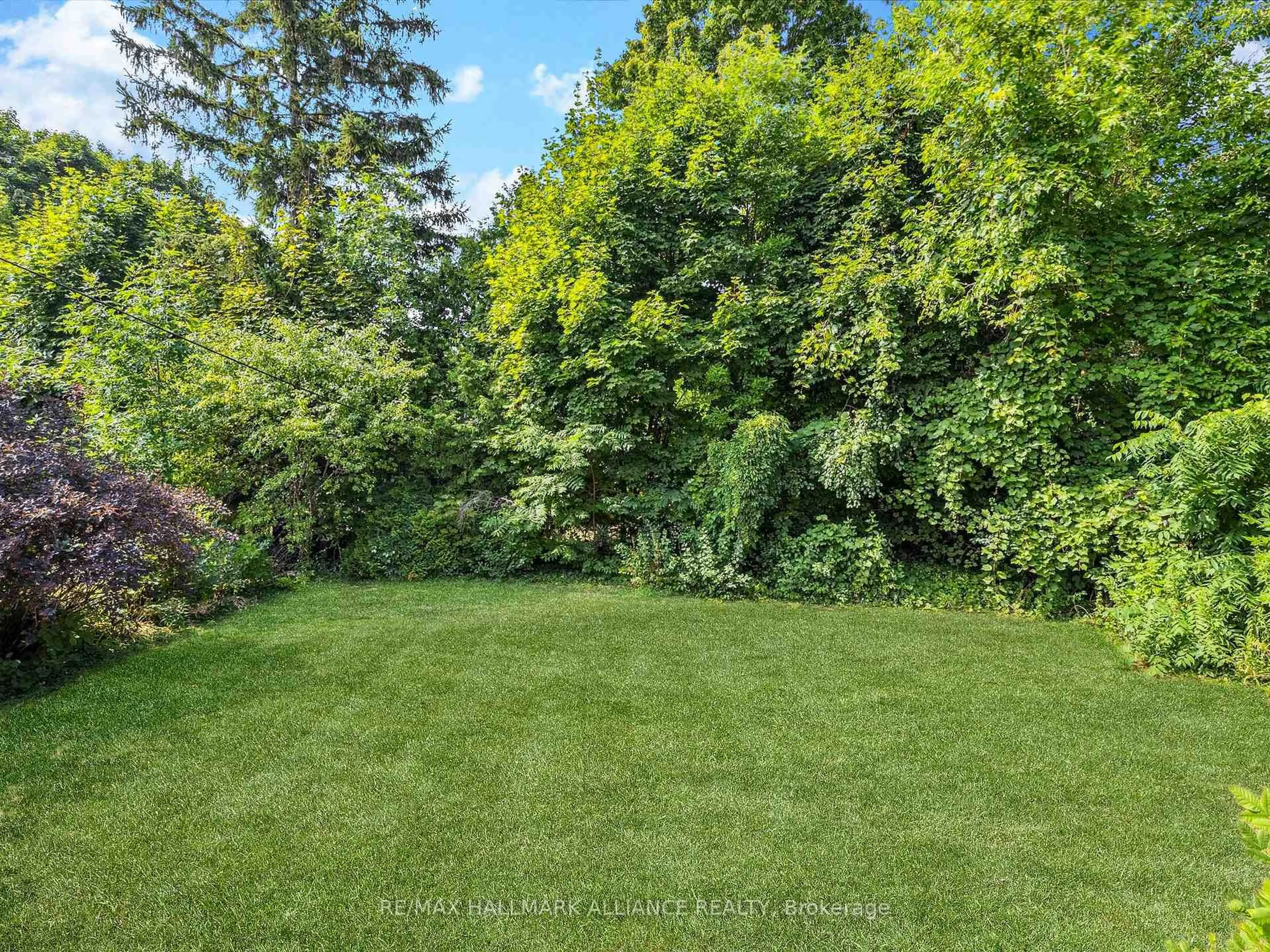 A pic from outside/outdoor area/front of a property/back of a property/a pic from drone, forest/trees view for 300 Burton Rd, Oakville Ontario L6K 2K8