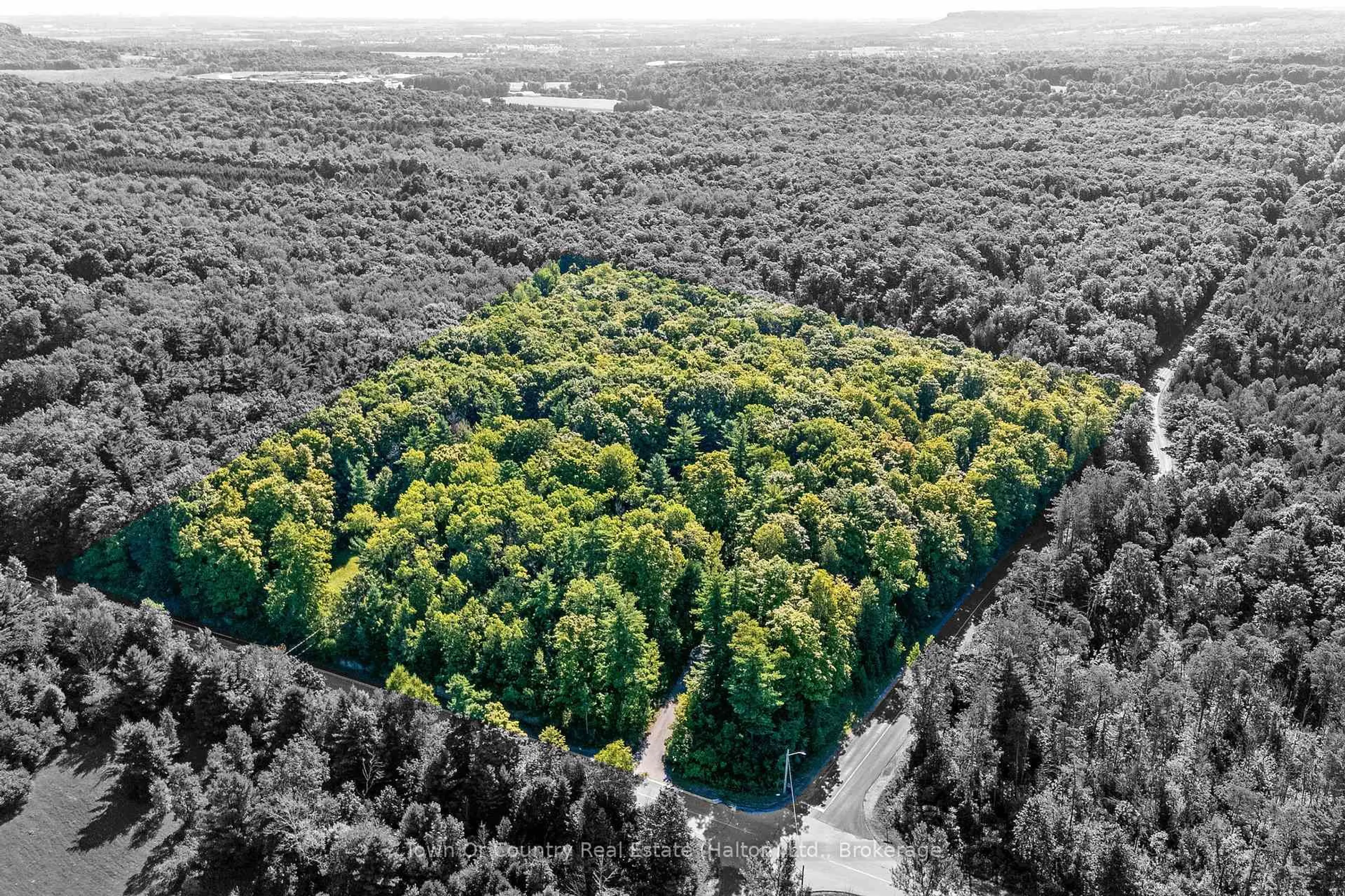 A pic from outside/outdoor area/front of a property/back of a property/a pic from drone, forest/trees view for 2380 Conservation Rd, Milton Ontario L0P 1B0