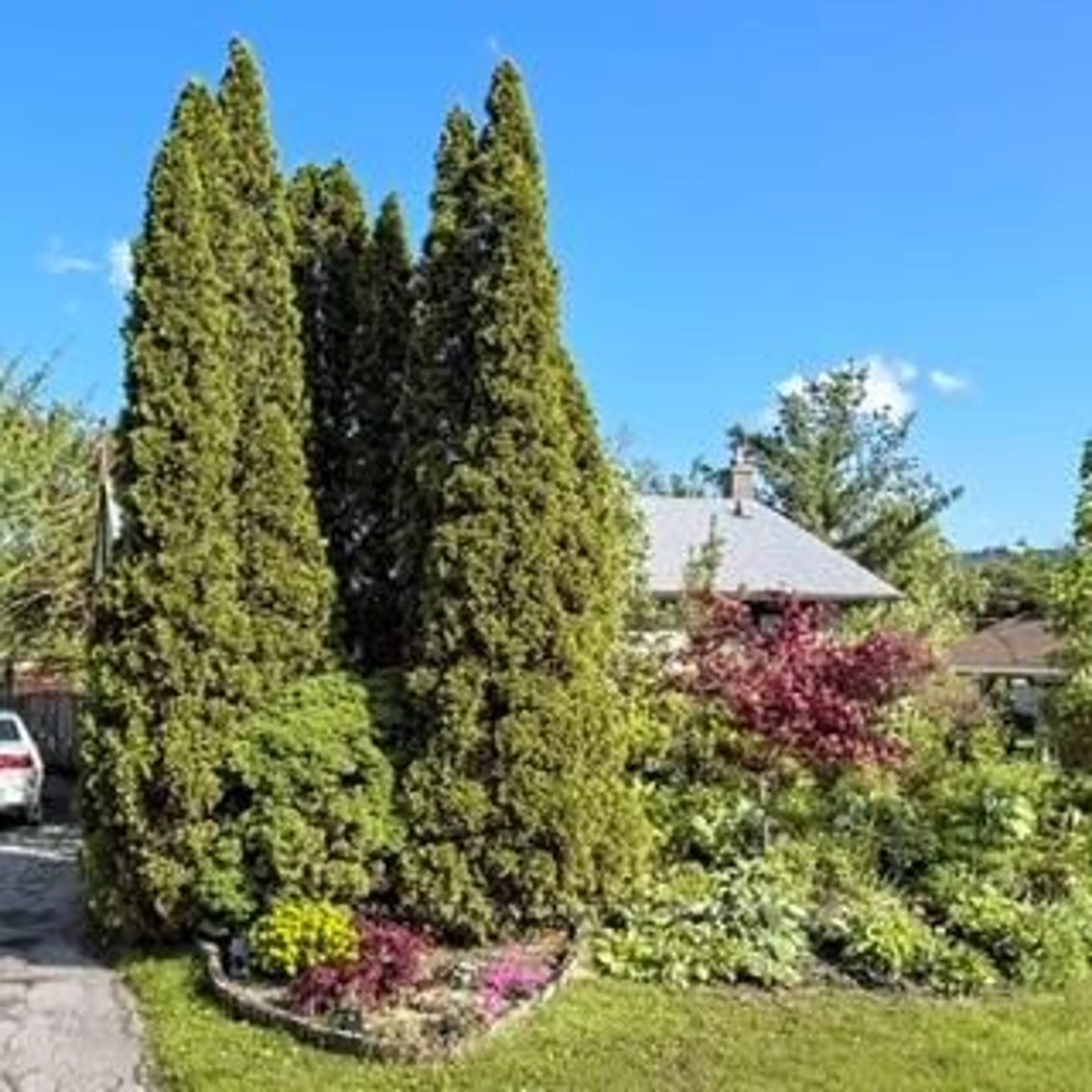 A pic from outside/outdoor area/front of a property/back of a property/a pic from drone, street for 217 Martha Cres, Caledon Ontario L7E 4X5