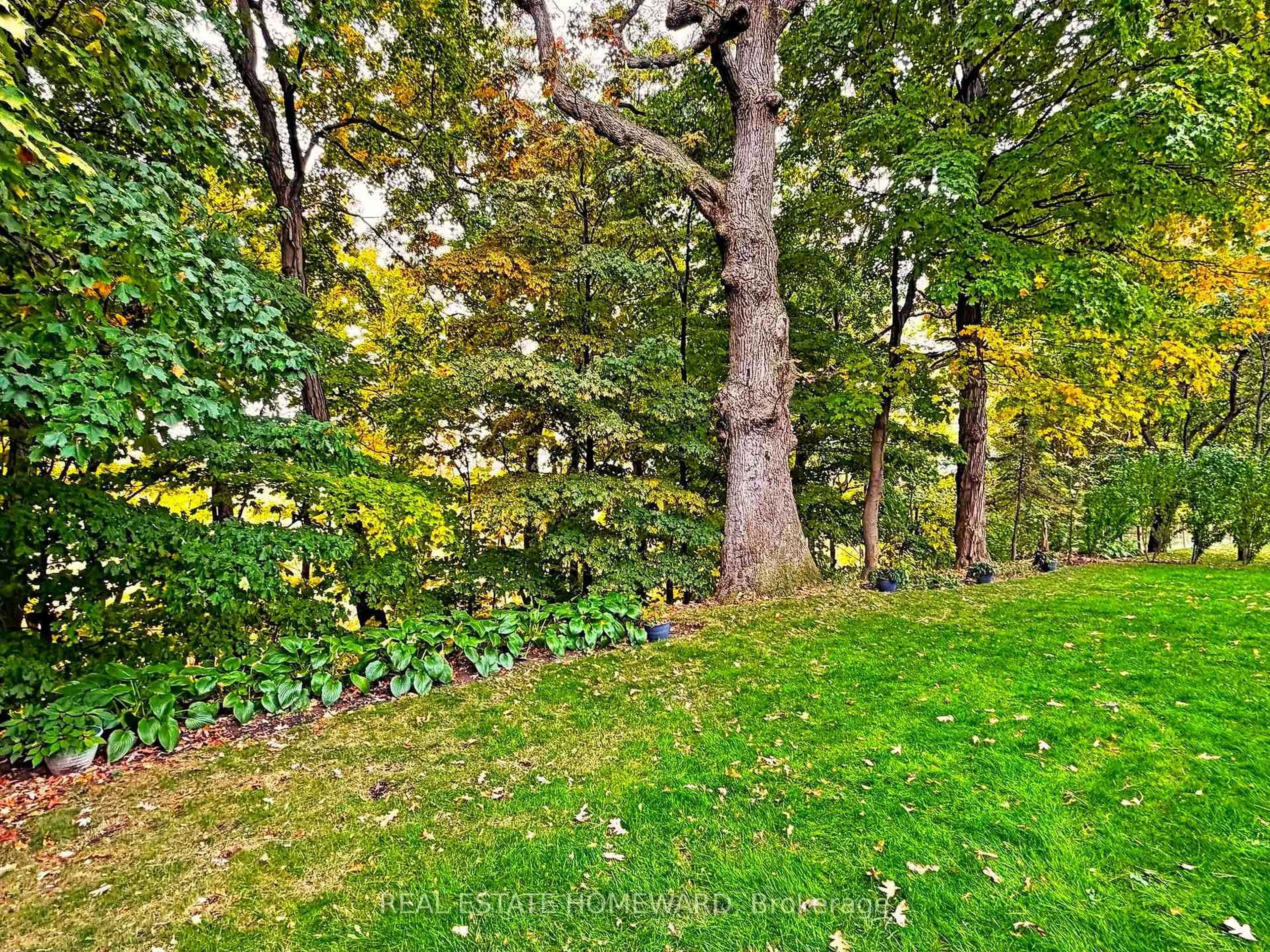 A pic from outside/outdoor area/front of a property/back of a property/a pic from drone, forest/trees view for 3058 Viewmount Rd, Oakville Ontario L6L 5M7