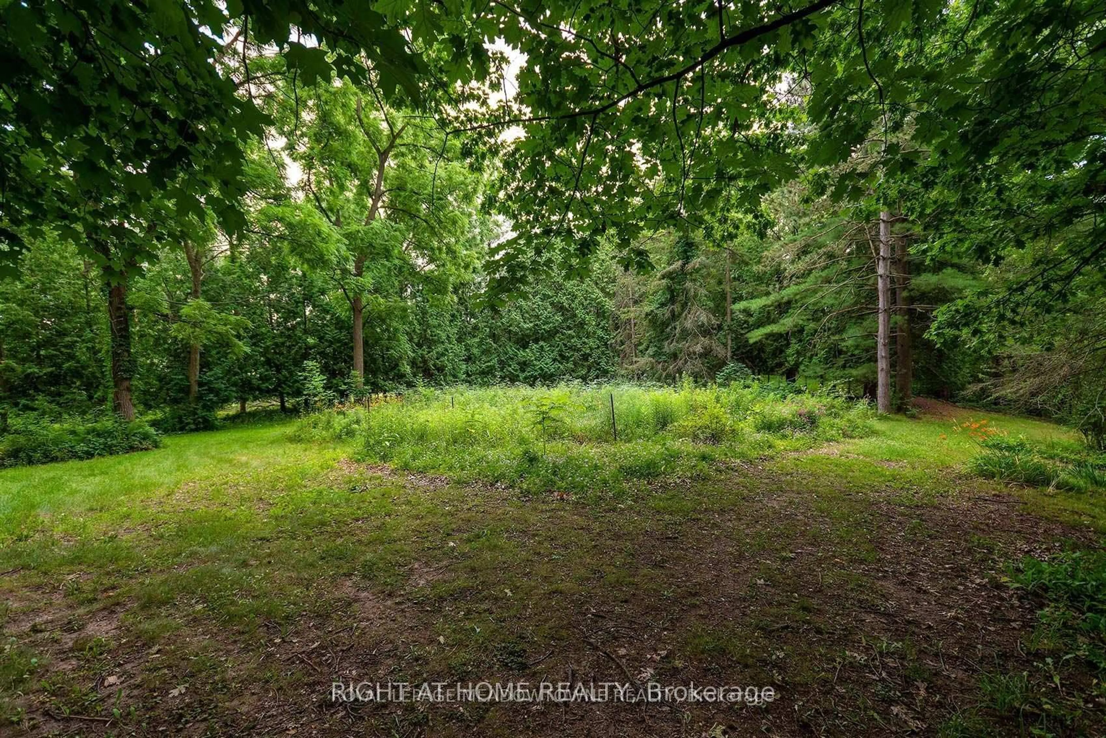 A pic from outside/outdoor area/front of a property/back of a property/a pic from drone, forest/trees view for 8774 Creditview Rd, Brampton Ontario L6Y 0G4