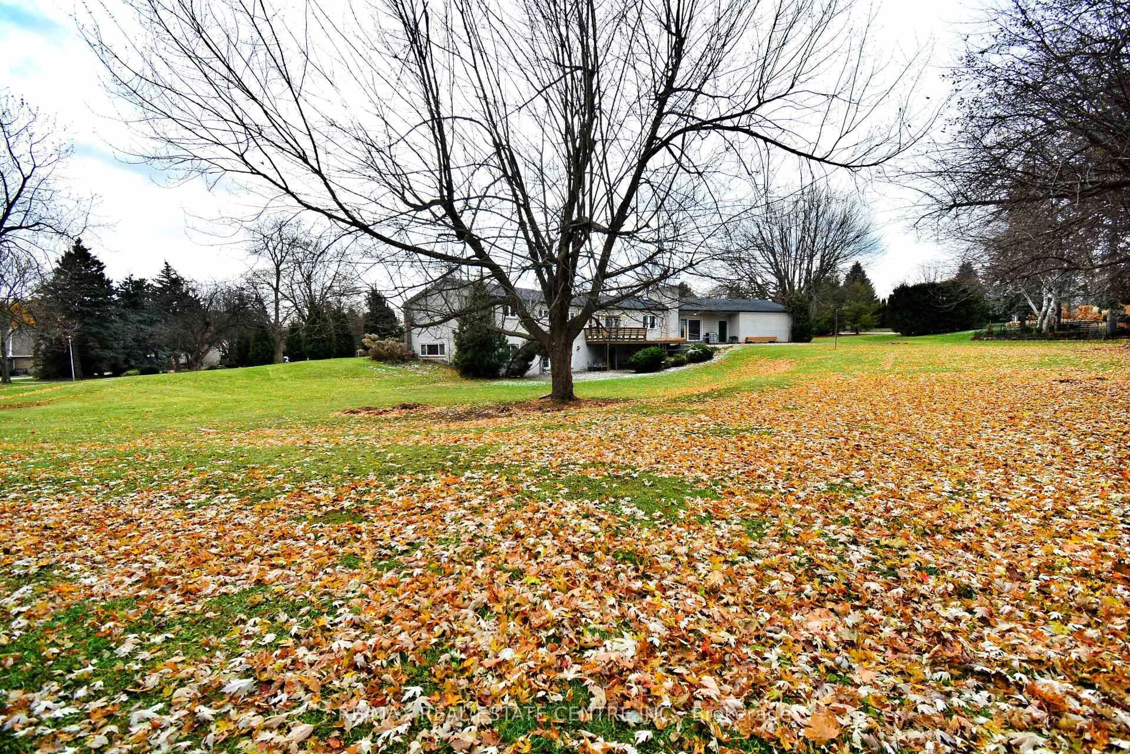 Unknown for 20 Crescent Hill Dr, Brampton Ontario L6S 1C7