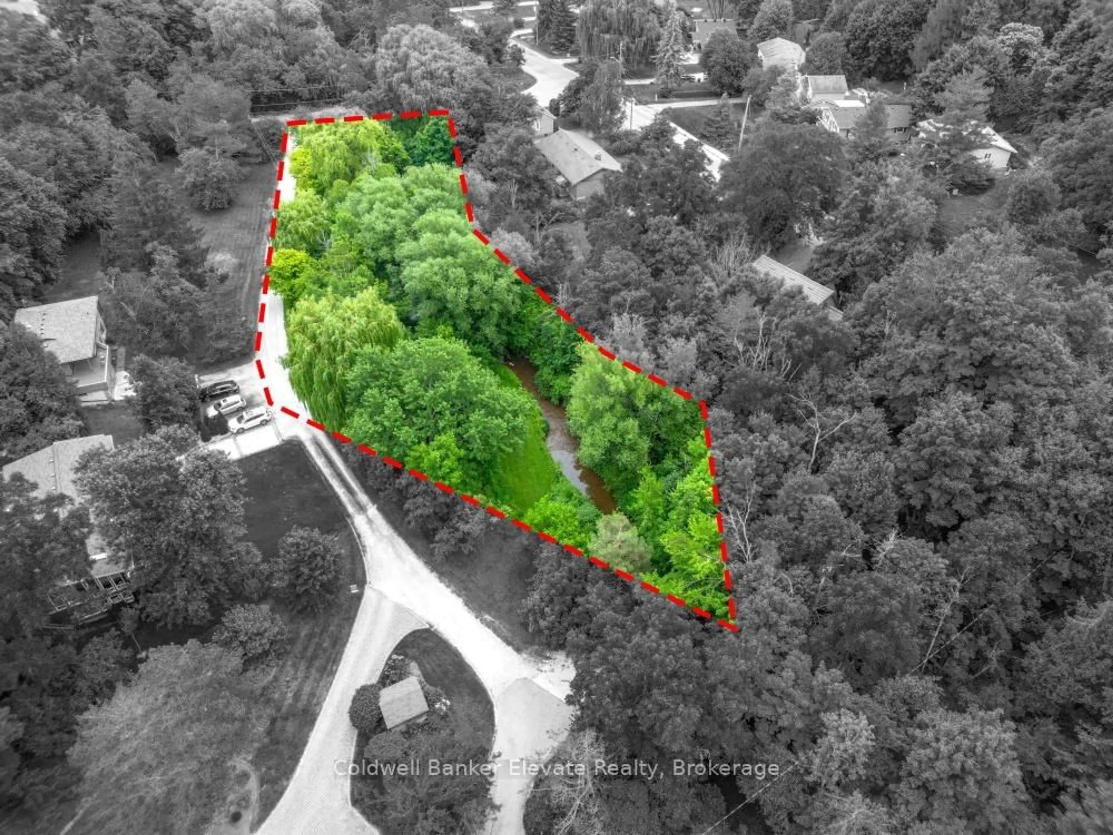 A pic from outside/outdoor area/front of a property/back of a property/a pic from drone, forest/trees view for 8 Ann St, Halton Hills Ontario L7G 2V2