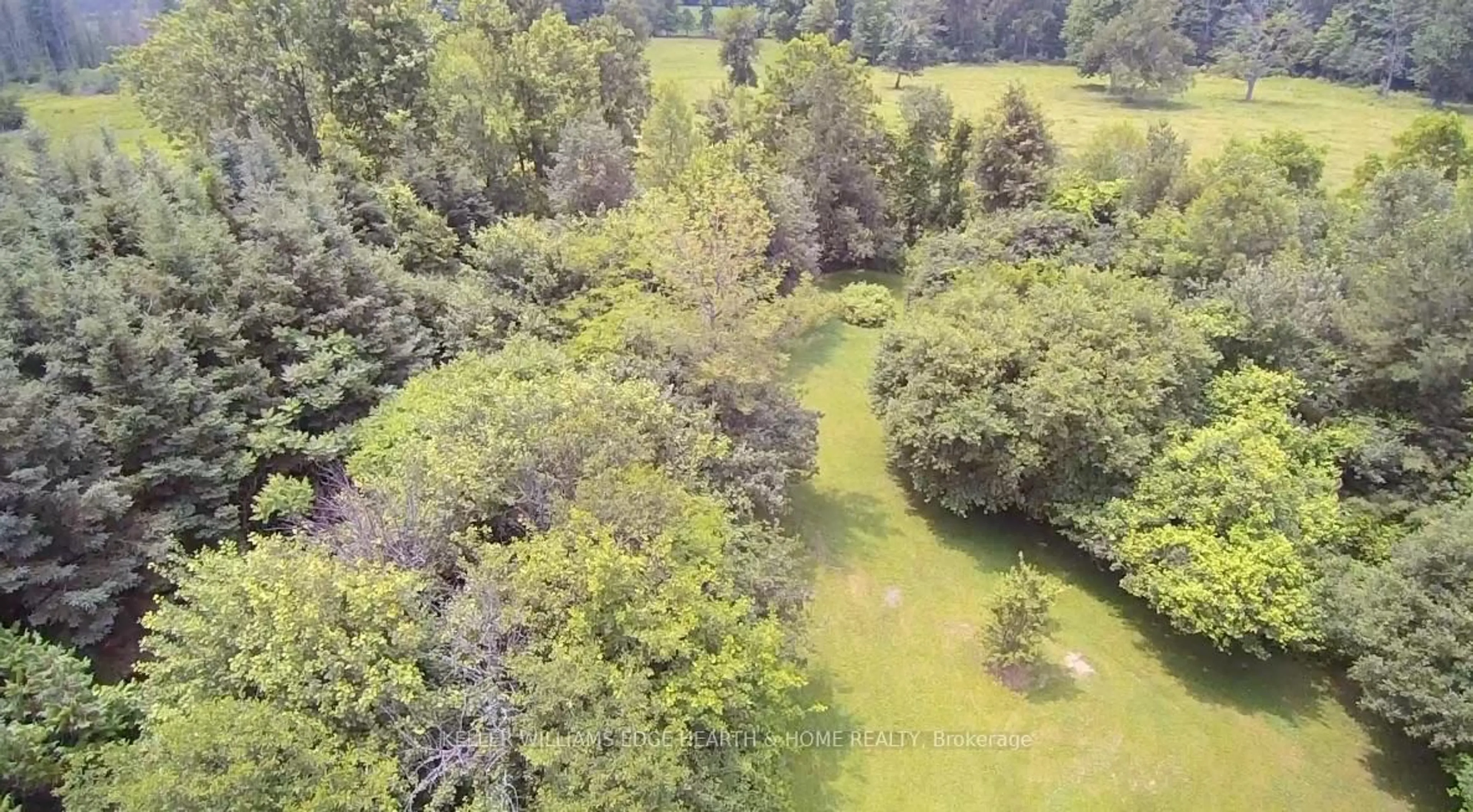 A pic from outside/outdoor area/front of a property/back of a property/a pic from drone, forest/trees view for 3400 Cedar Springs Rd, Burlington Ontario L7P 0P7