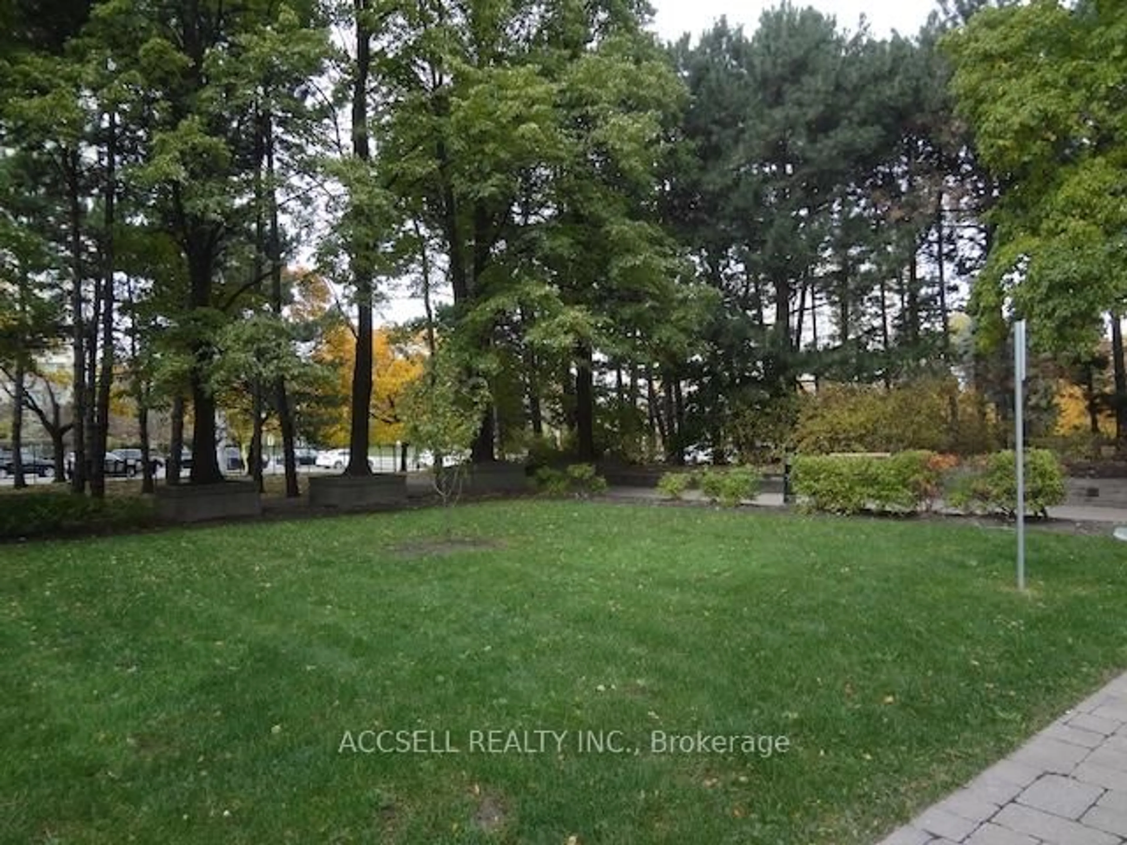 A pic from outside/outdoor area/front of a property/back of a property/a pic from drone, forest/trees view for 3700 Kaneff Cres #2106, Mississauga Ontario L5A 4B8