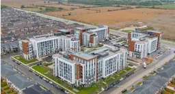 history photo preview