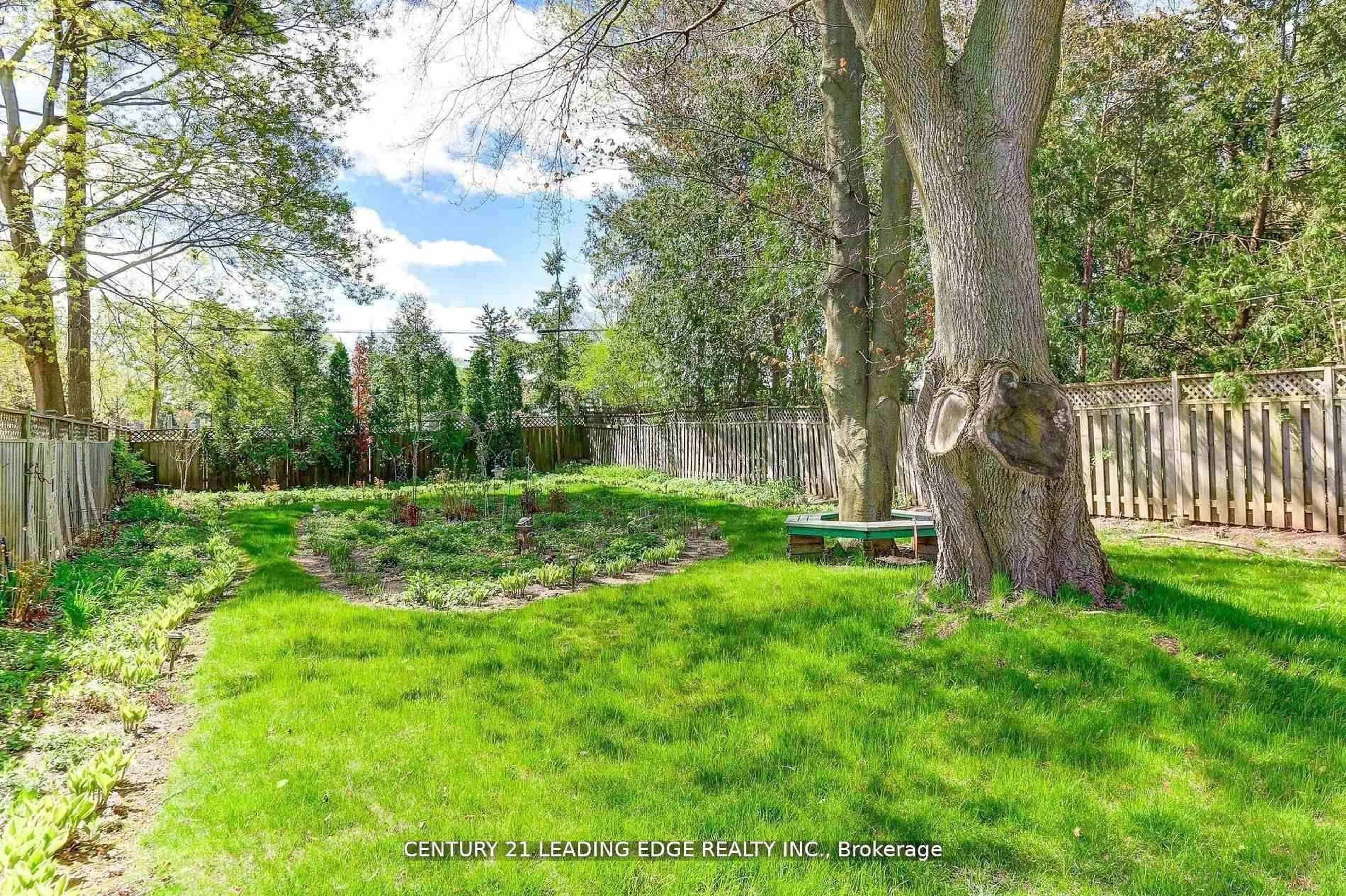 A pic from outside/outdoor area/front of a property/back of a property/a pic from drone, forest/trees view for 19 Royaleigh Ave, Toronto Ontario M9P 2J4