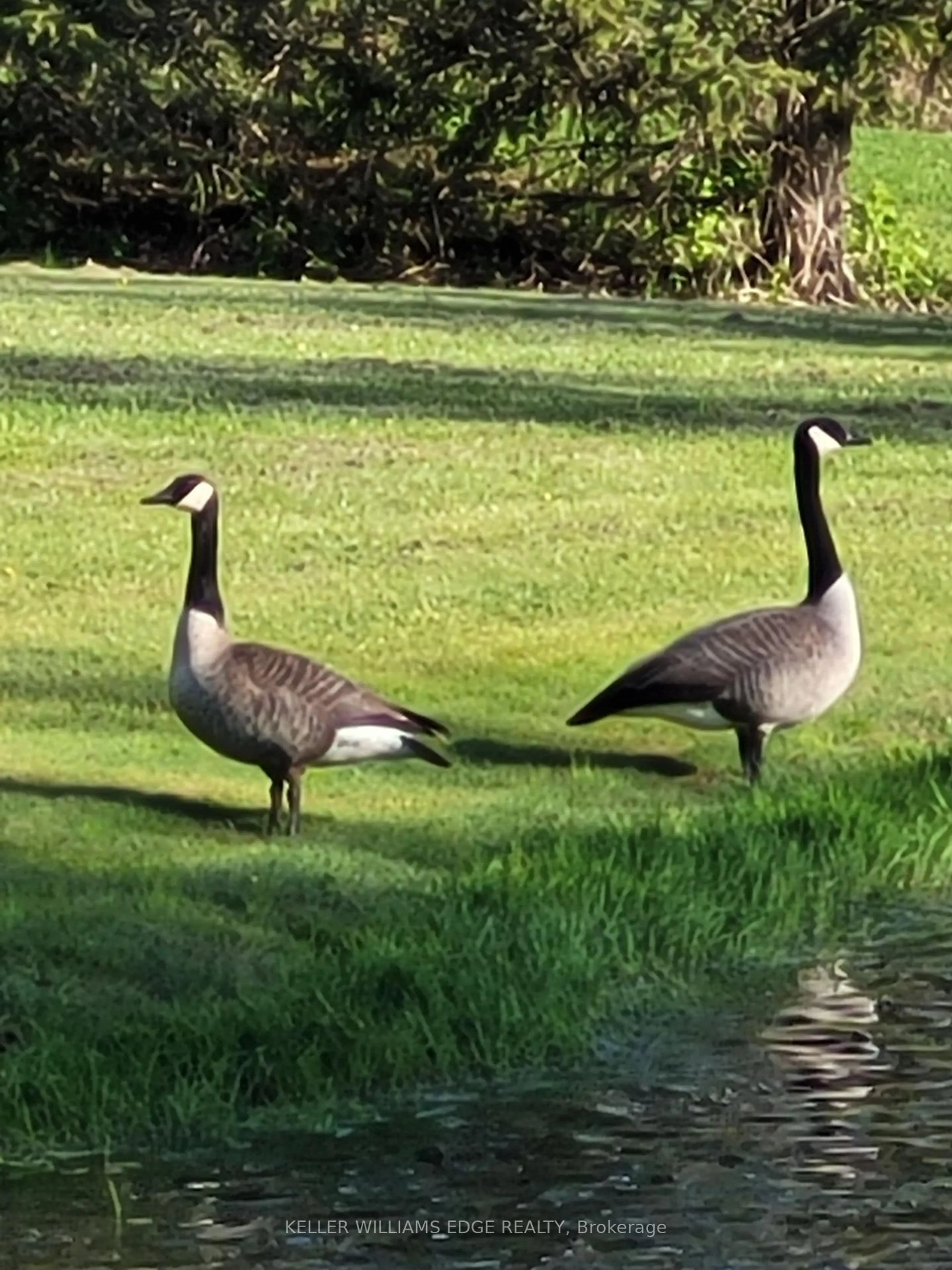 Blurry image for 2264 Britannia Rd, Burlington Ontario L7P 0G2