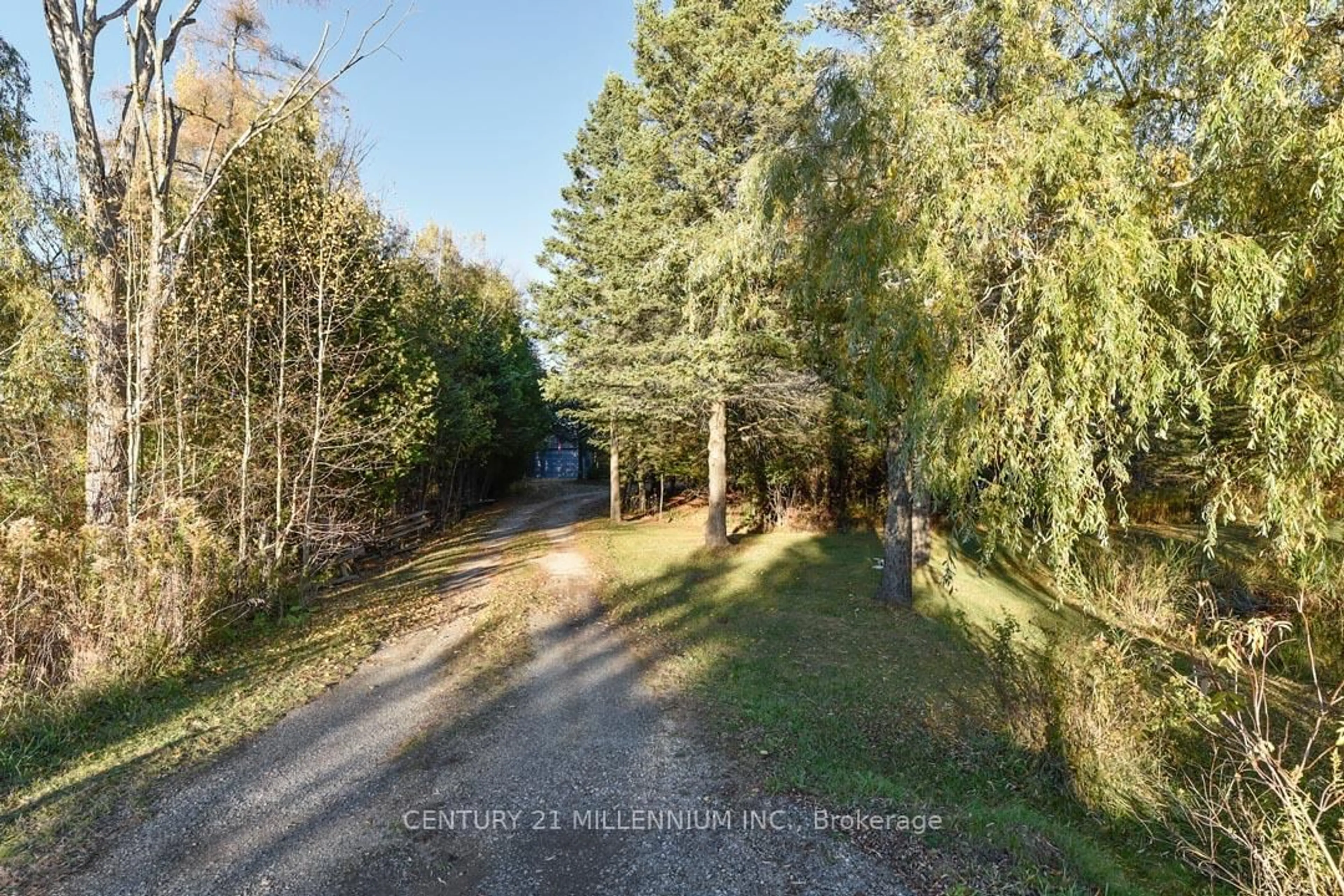 A pic from outside/outdoor area/front of a property/back of a property/a pic from drone, forest/trees view for 18599 Horseshoe Hill Rd, Caledon Ontario L7K 2B9