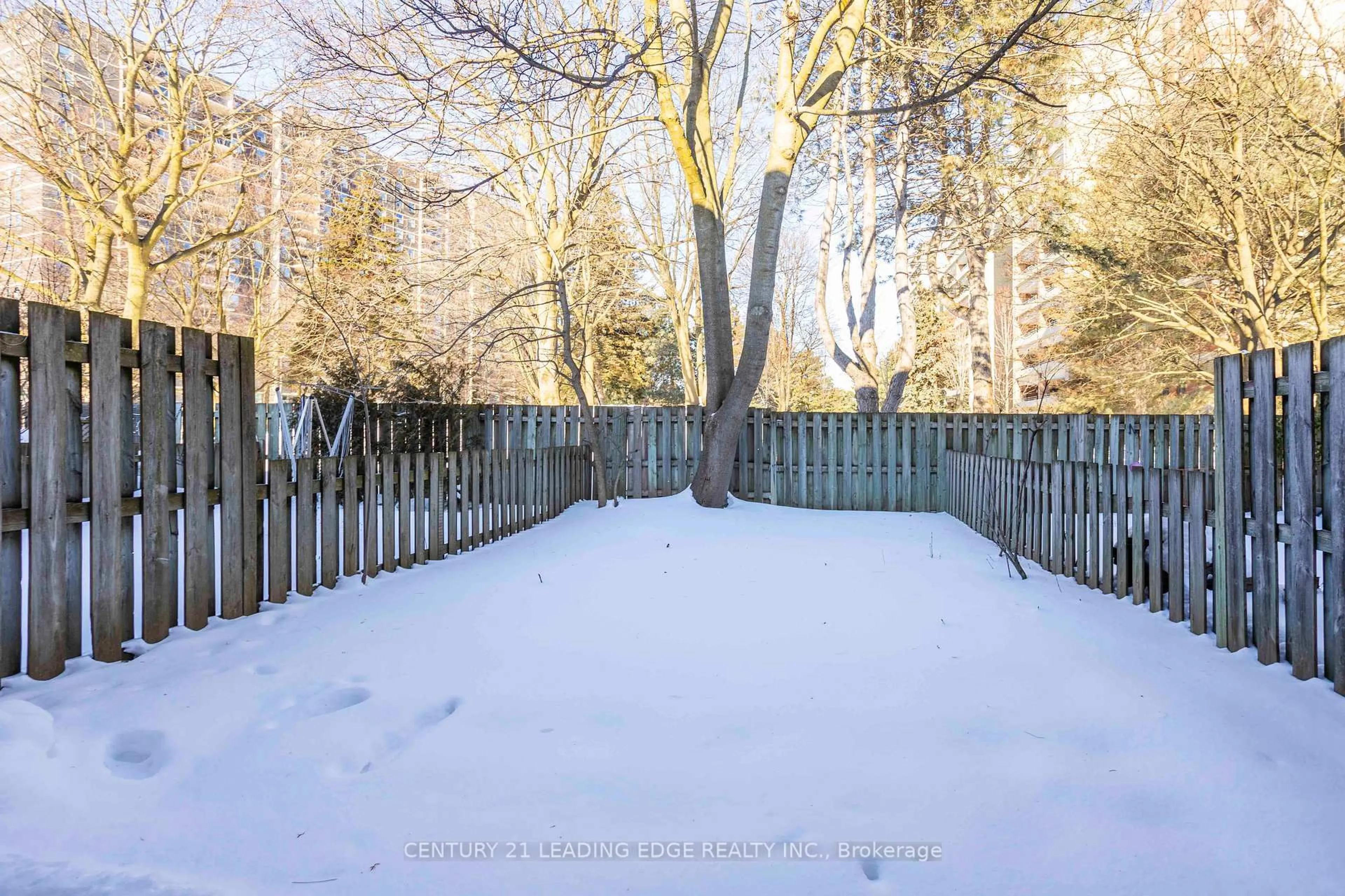 Patio, forest/trees view for 915 Inverhouse Dr #15, Mississauga Ontario L5J 4B2