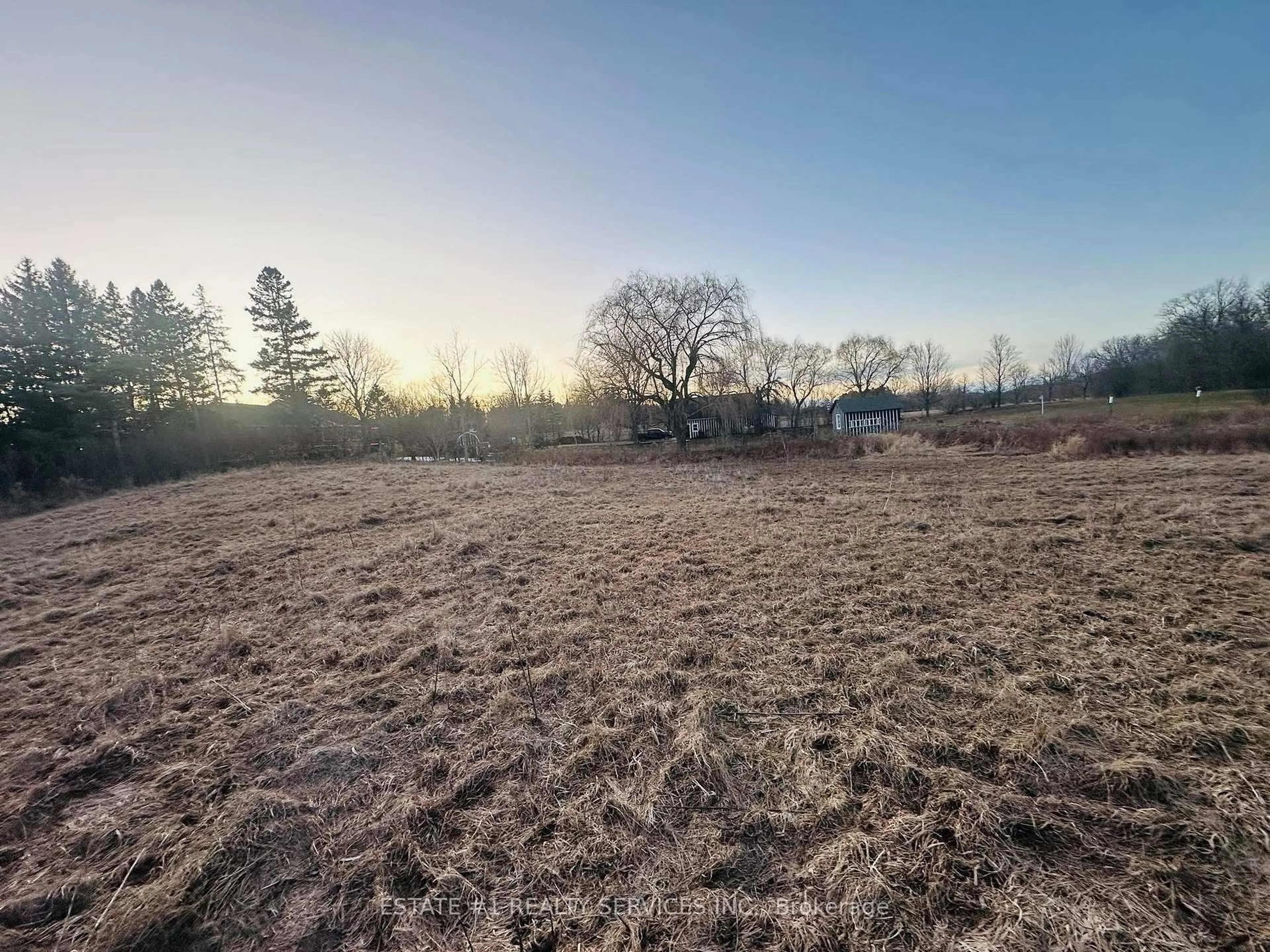 A pic from outside/outdoor area/front of a property/back of a property/a pic from drone, forest/trees view for 10231 Old Pinecrest Rd, Brampton Ontario L7A 0A4