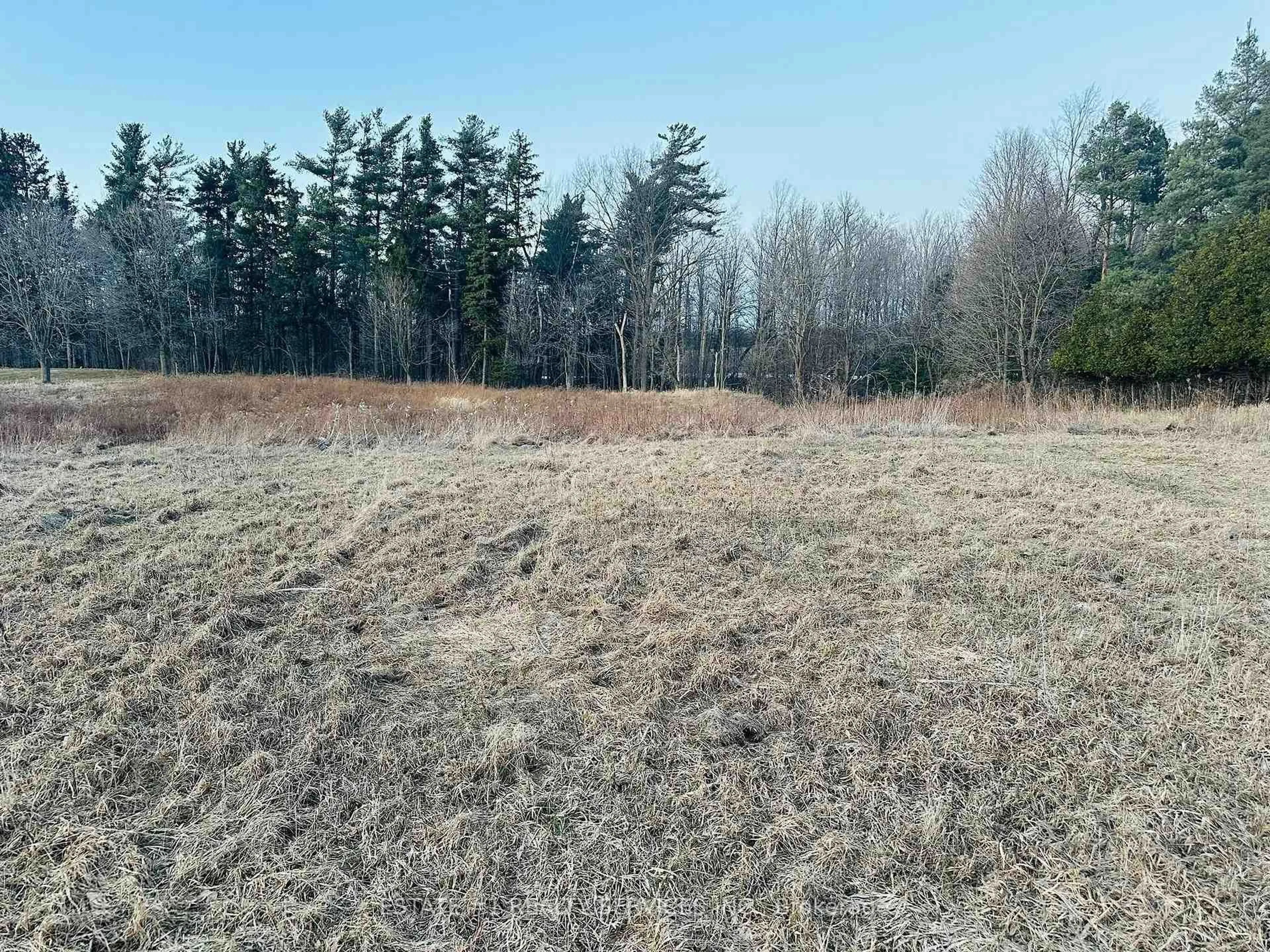 A pic from outside/outdoor area/front of a property/back of a property/a pic from drone, forest/trees view for 10231 Old Pinecrest Rd, Brampton Ontario L7A 0A4