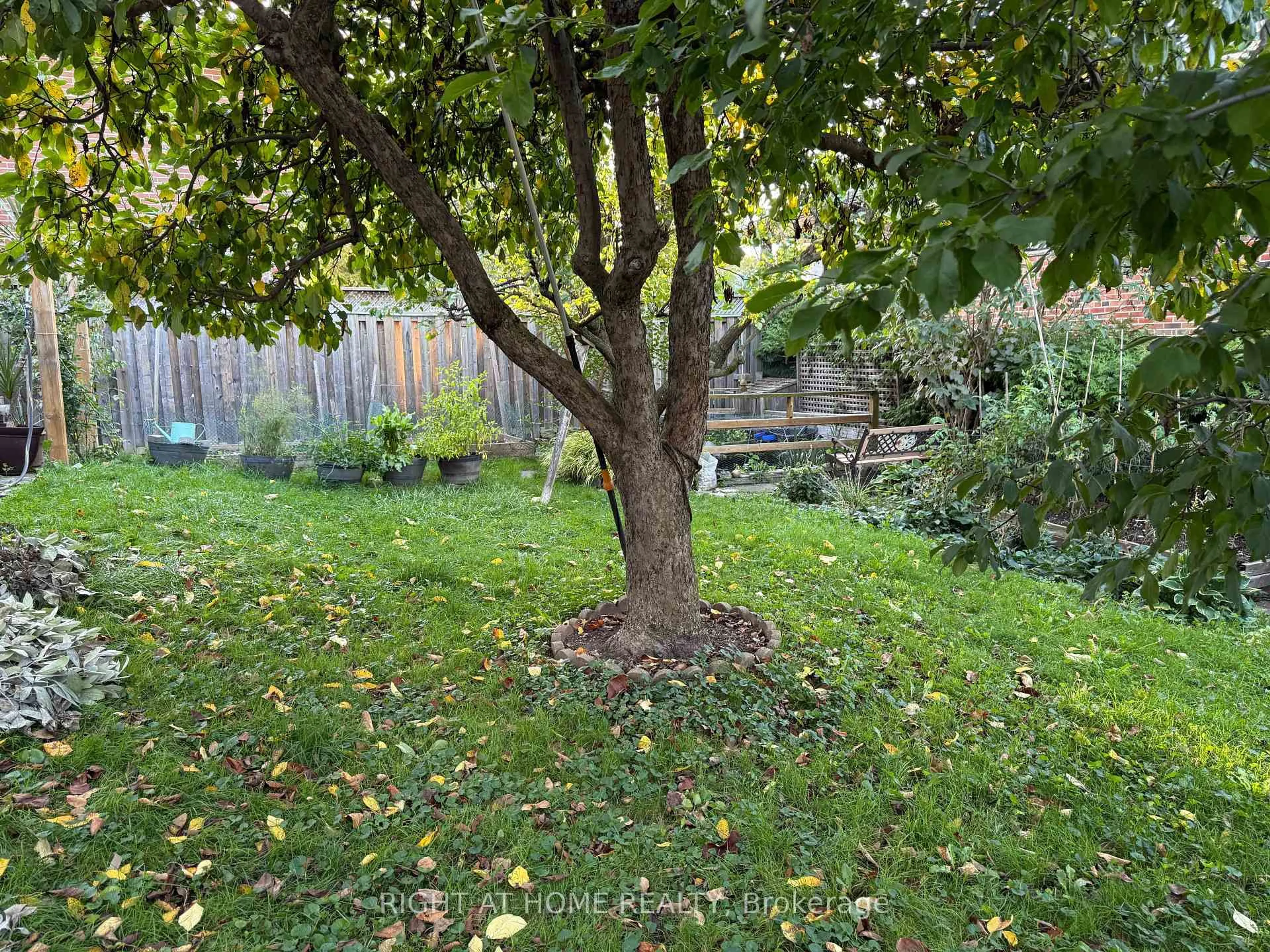 A pic from outside/outdoor area/front of a property/back of a property/a pic from drone, forest/trees view for 258 La Rose Ave, Toronto Ontario M9P 1B7