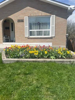 history photo preview