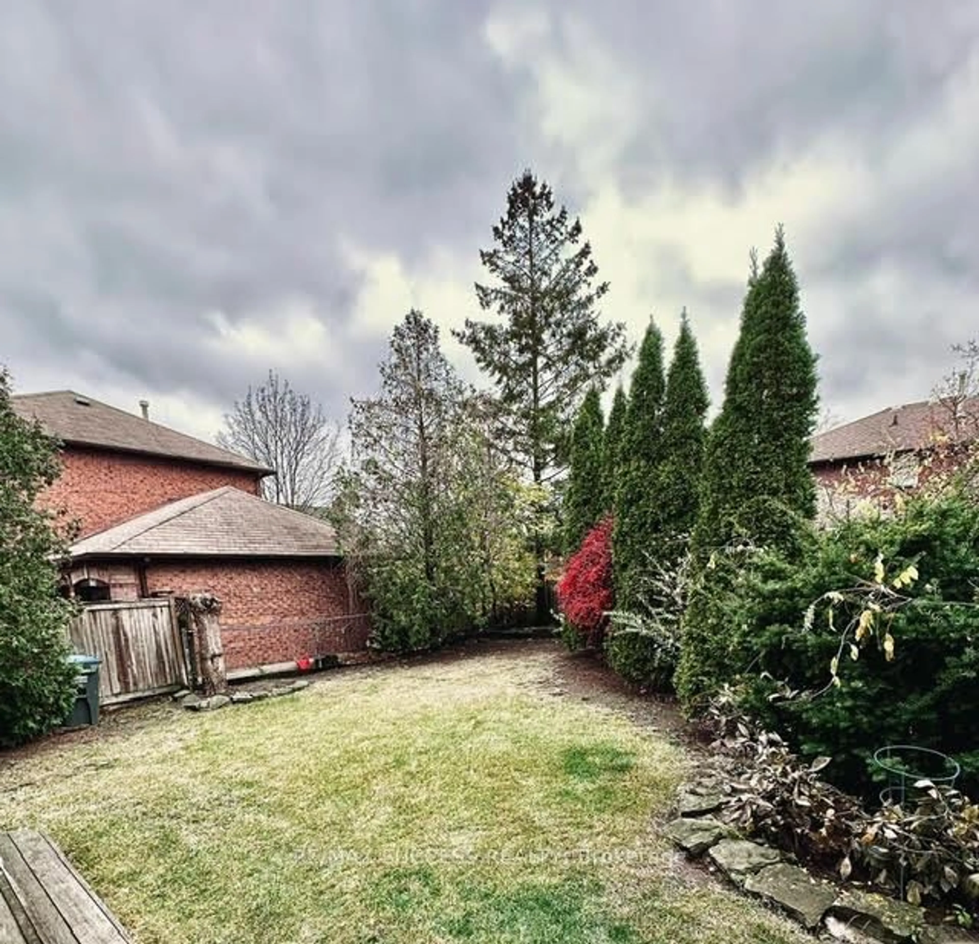 A pic from outside/outdoor area/front of a property/back of a property/a pic from drone, forest/trees view for 6643 Mockingbird Lane, Mississauga Ontario L5N 5K2