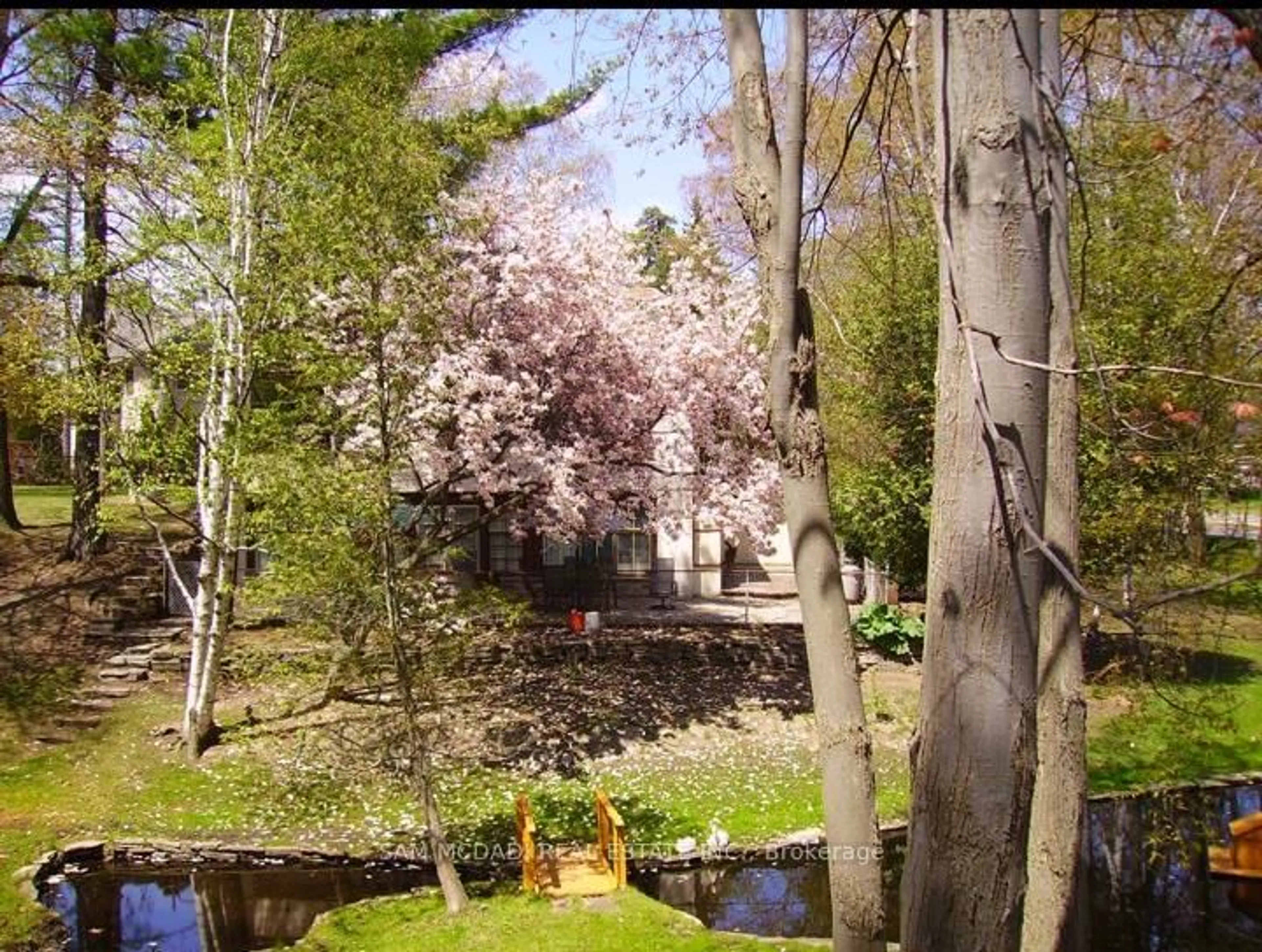 A pic from outside/outdoor area/front of a property/back of a property/a pic from drone, forest/trees view for 1322 Birchview Dr, Mississauga Ontario L5H 3E4