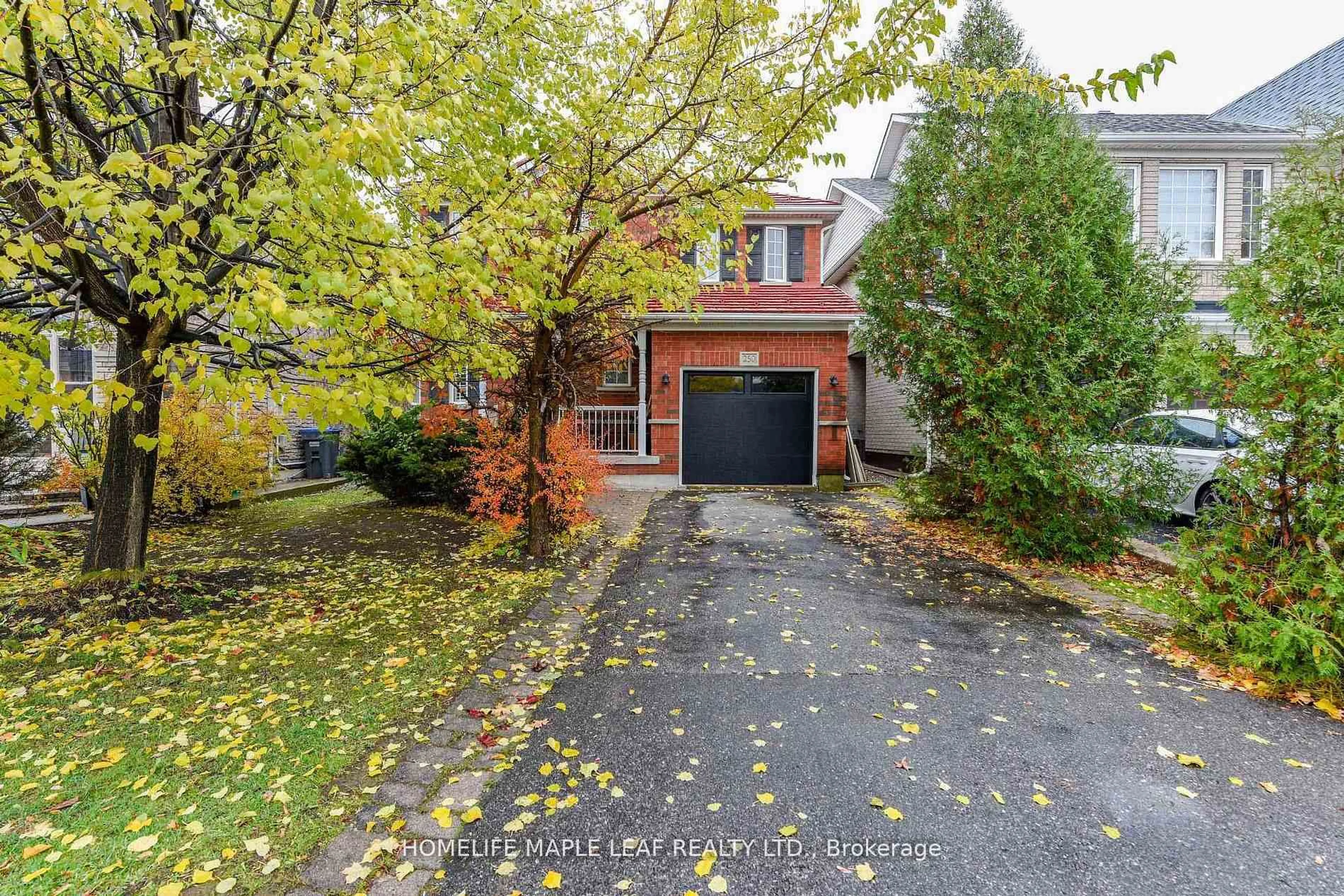 Home with brick exterior material, street for 250 Brisdale Dr, Brampton Ontario L7A 2T3