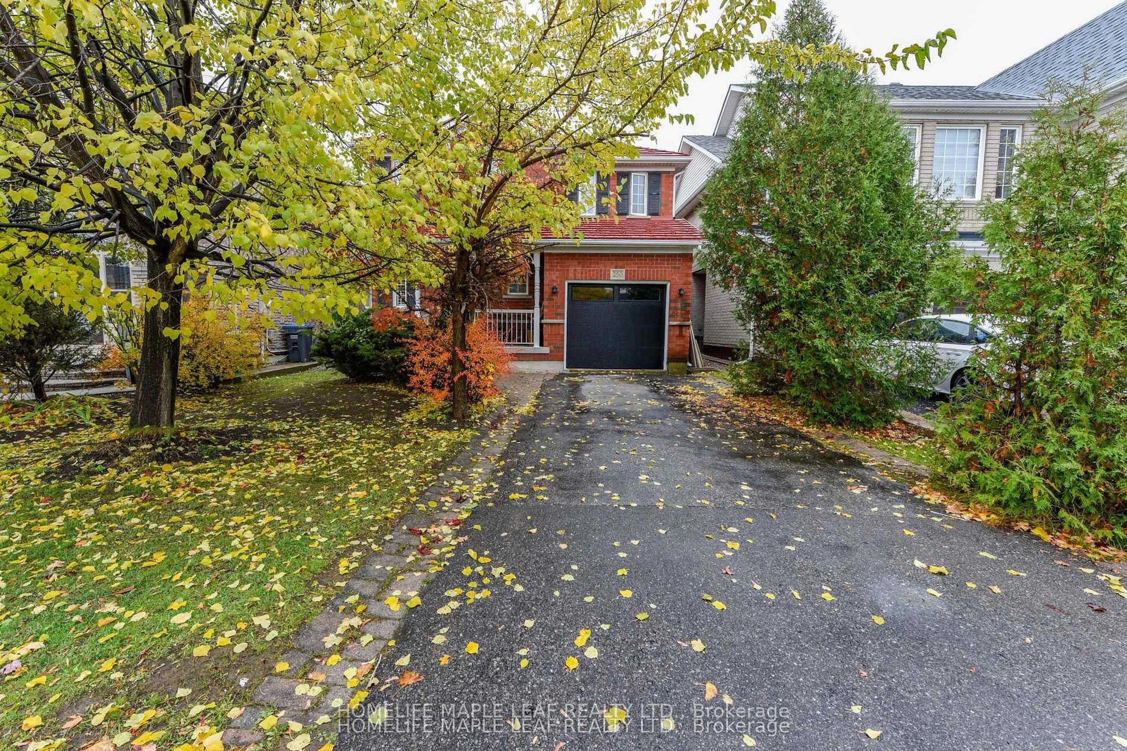 Unknown for 250 Brisdale Dr, Brampton Ontario L7A 2T3