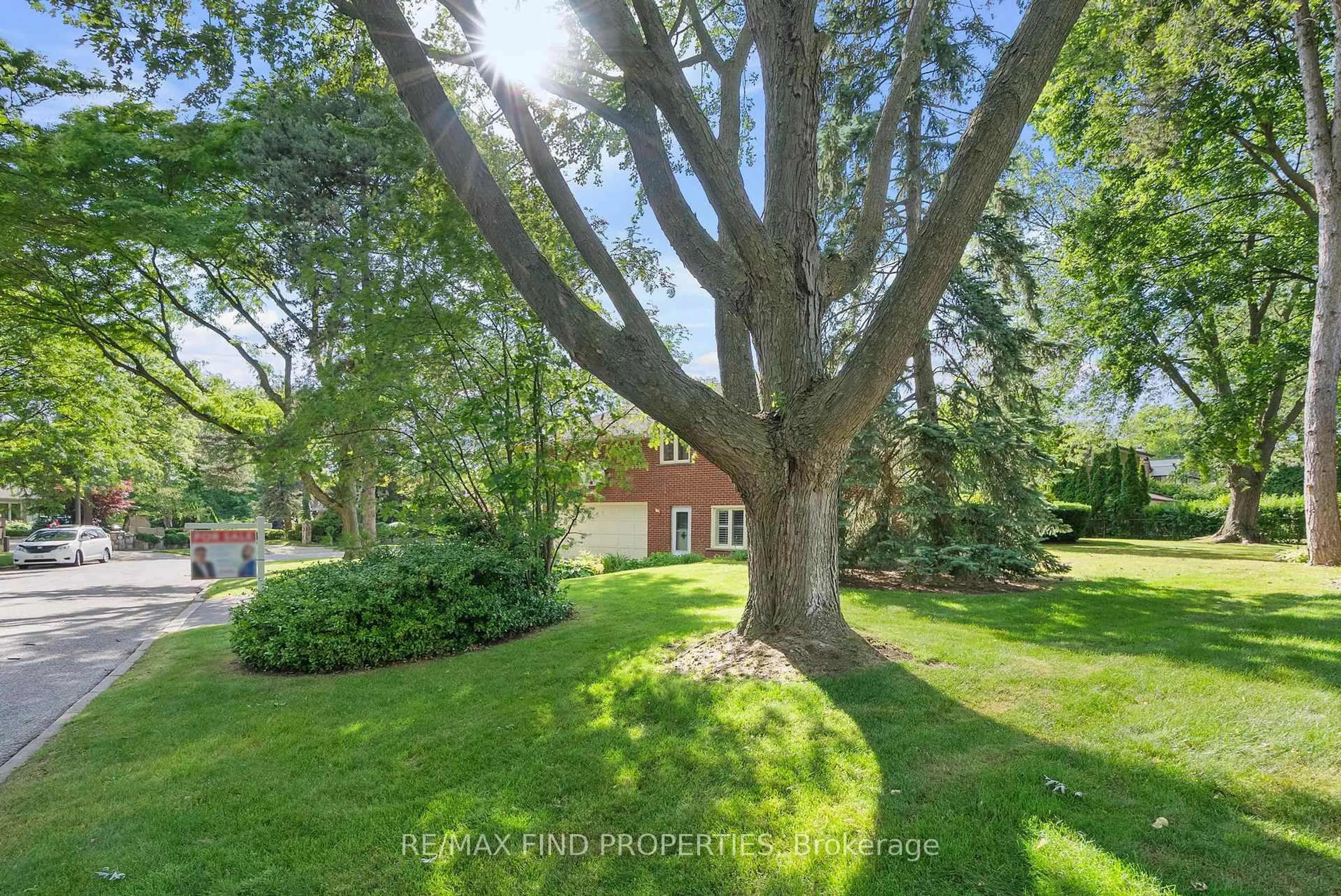A pic from outside/outdoor area/front of a property/back of a property/a pic from drone, forest/trees view for 56 Edenvale Cres, Toronto Ontario M9A 4A6