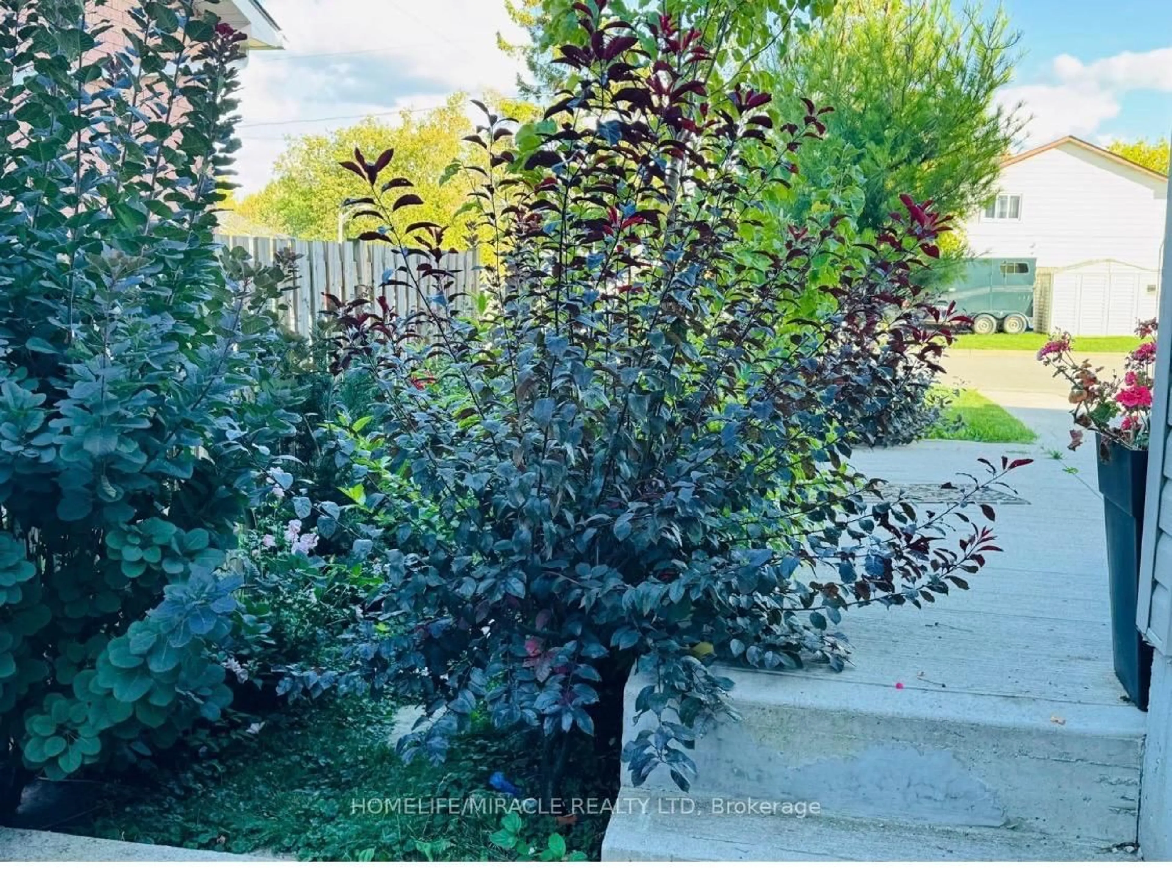 Blurry image for 1 Chisholm St #H, Orangeville Ontario L9W 6Y6