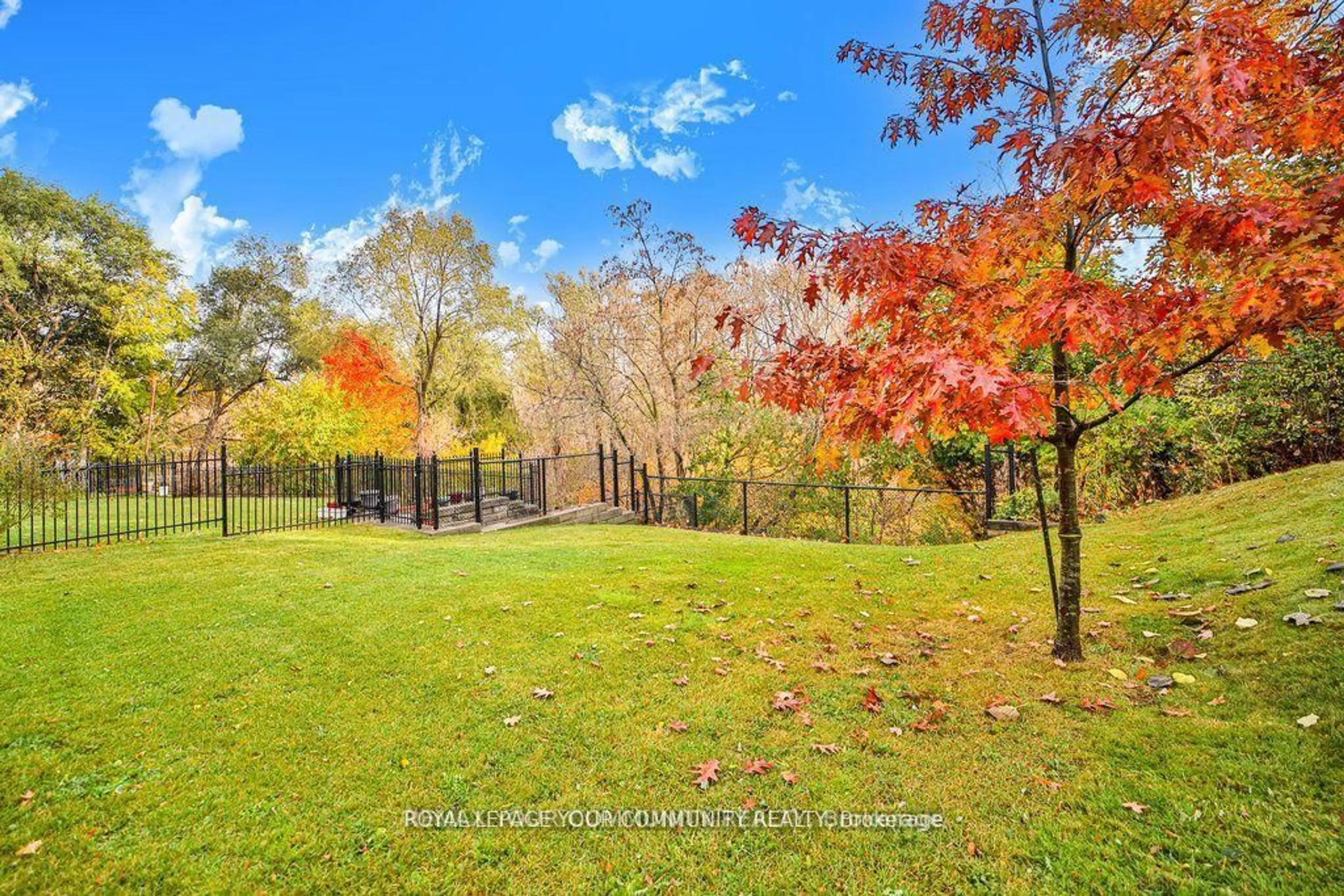 A pic from outside/outdoor area/front of a property/back of a property/a pic from drone, forest/trees view for 21 Disan Crt, Toronto Ontario M9V 4A5