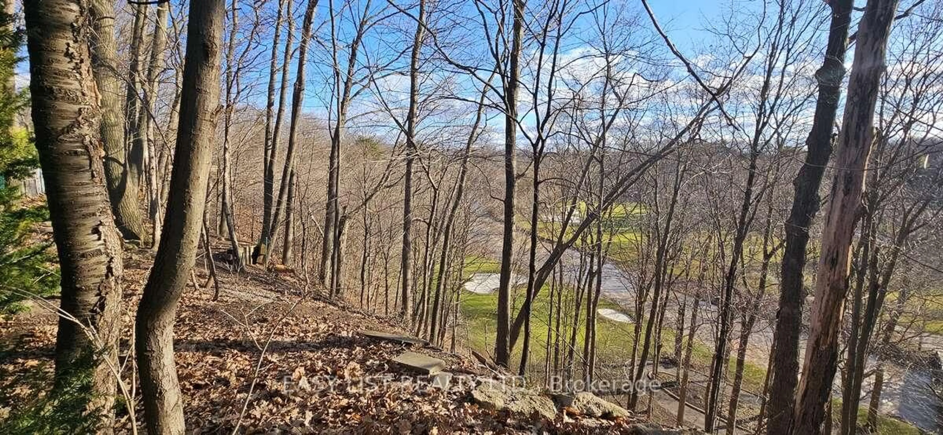 A pic from outside/outdoor area/front of a property/back of a property/a pic from drone, forest/trees view for 1320 Odessa Cres, Oakville Ontario L6H 1R8